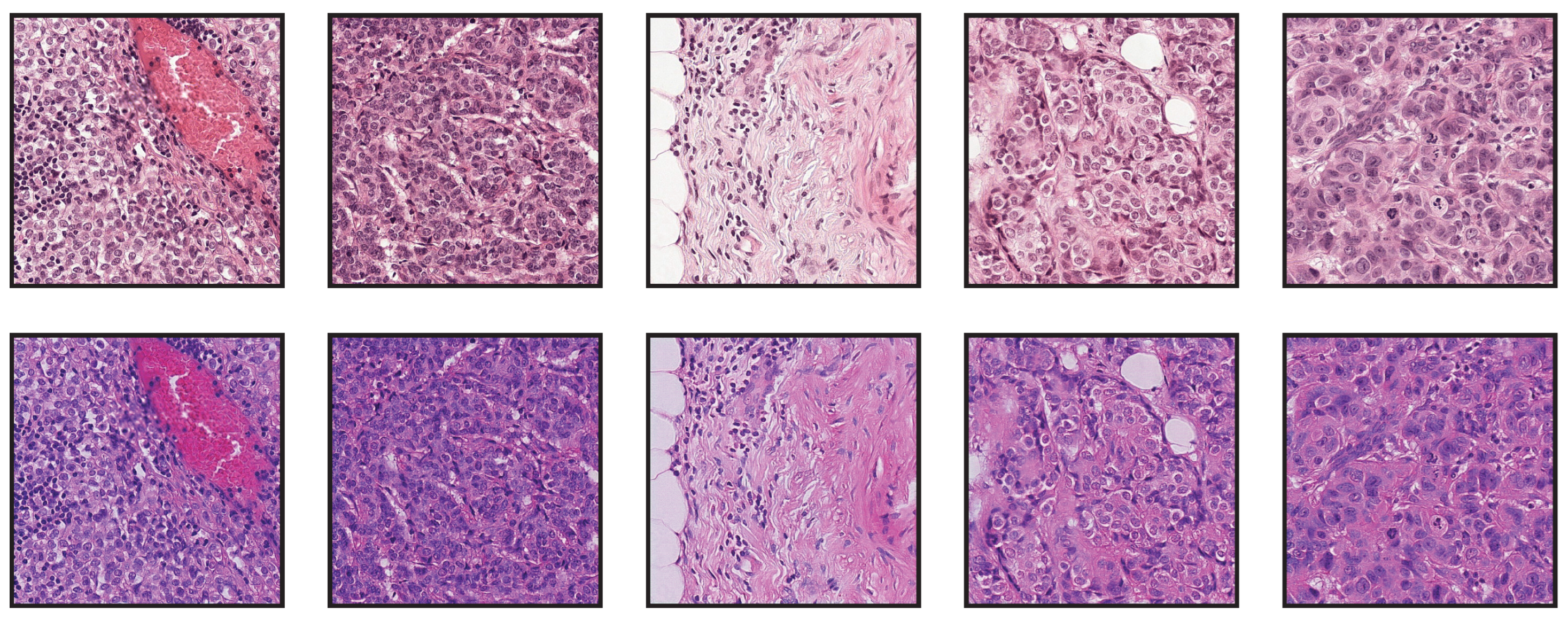 Jimaging 08 00202 g010 550