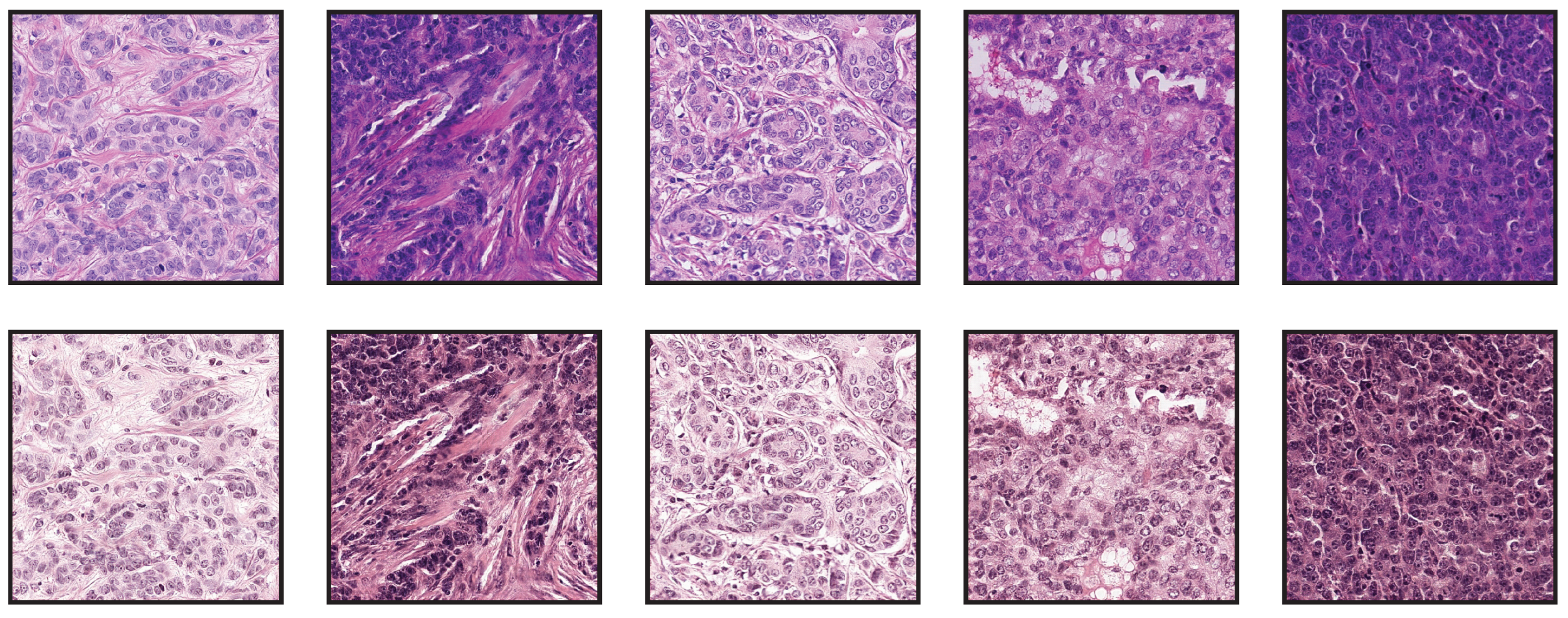 Jimaging 08 00202 g011 550