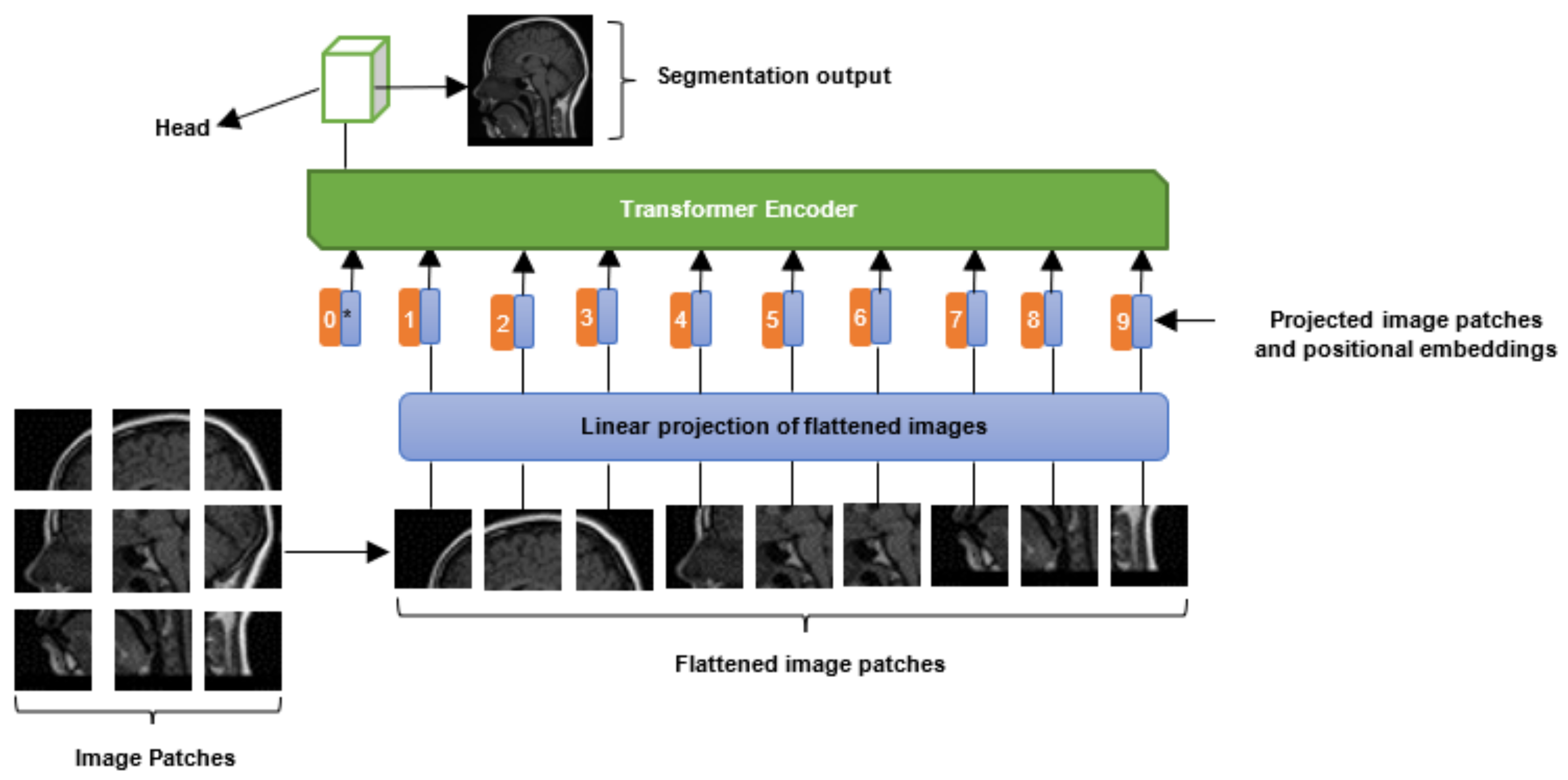 Jimaging 08 00205 g002