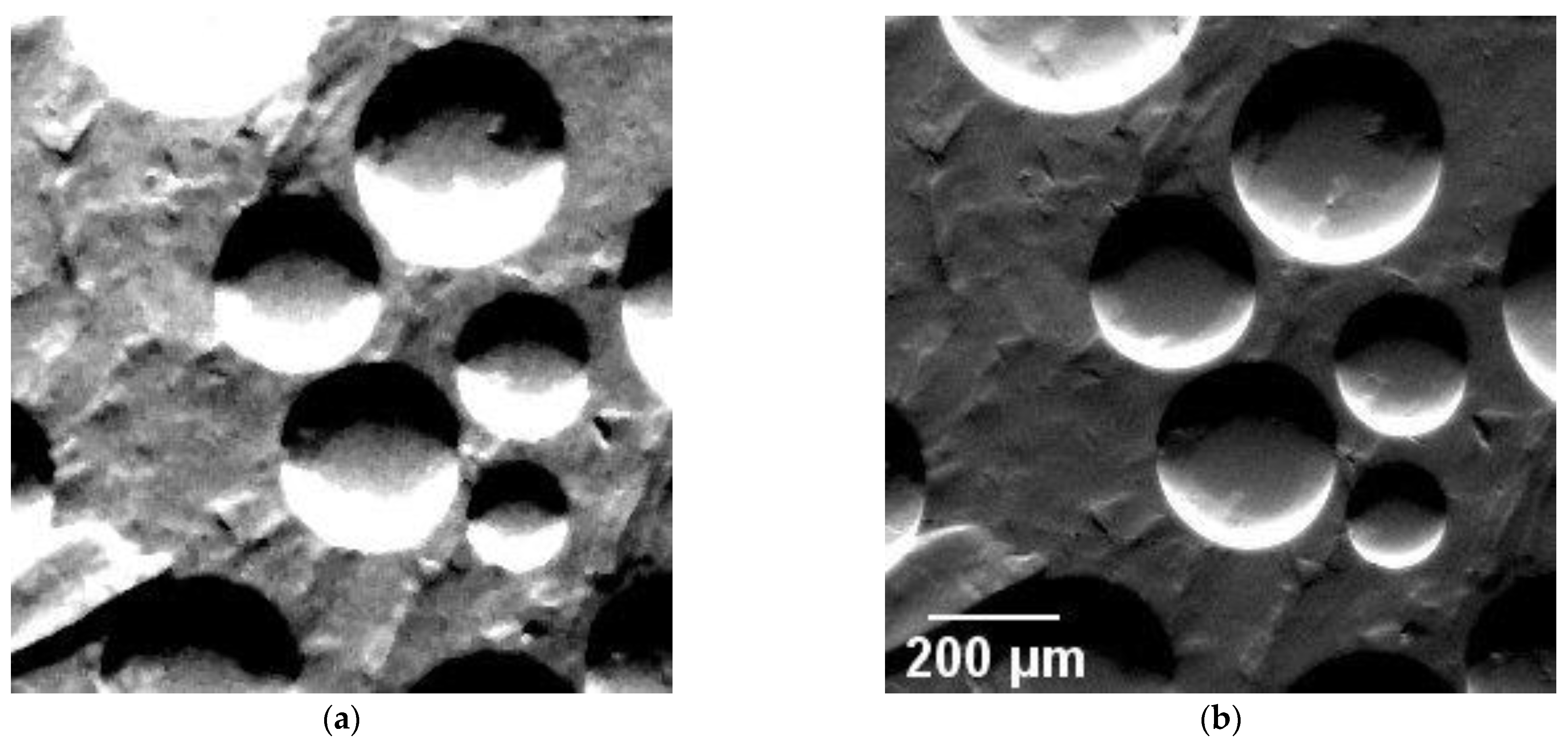 Jimaging 08 00206 g005 550