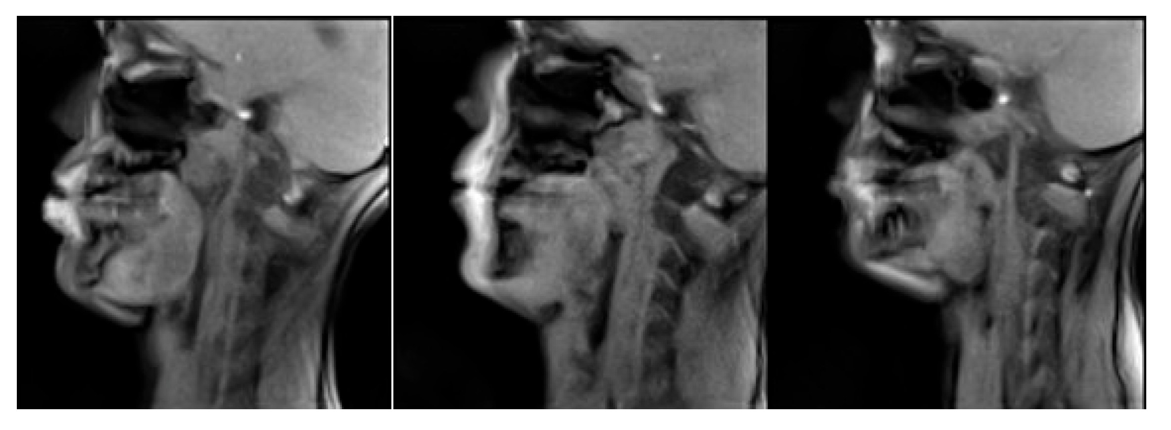 Jimaging 08 00227 g013 550