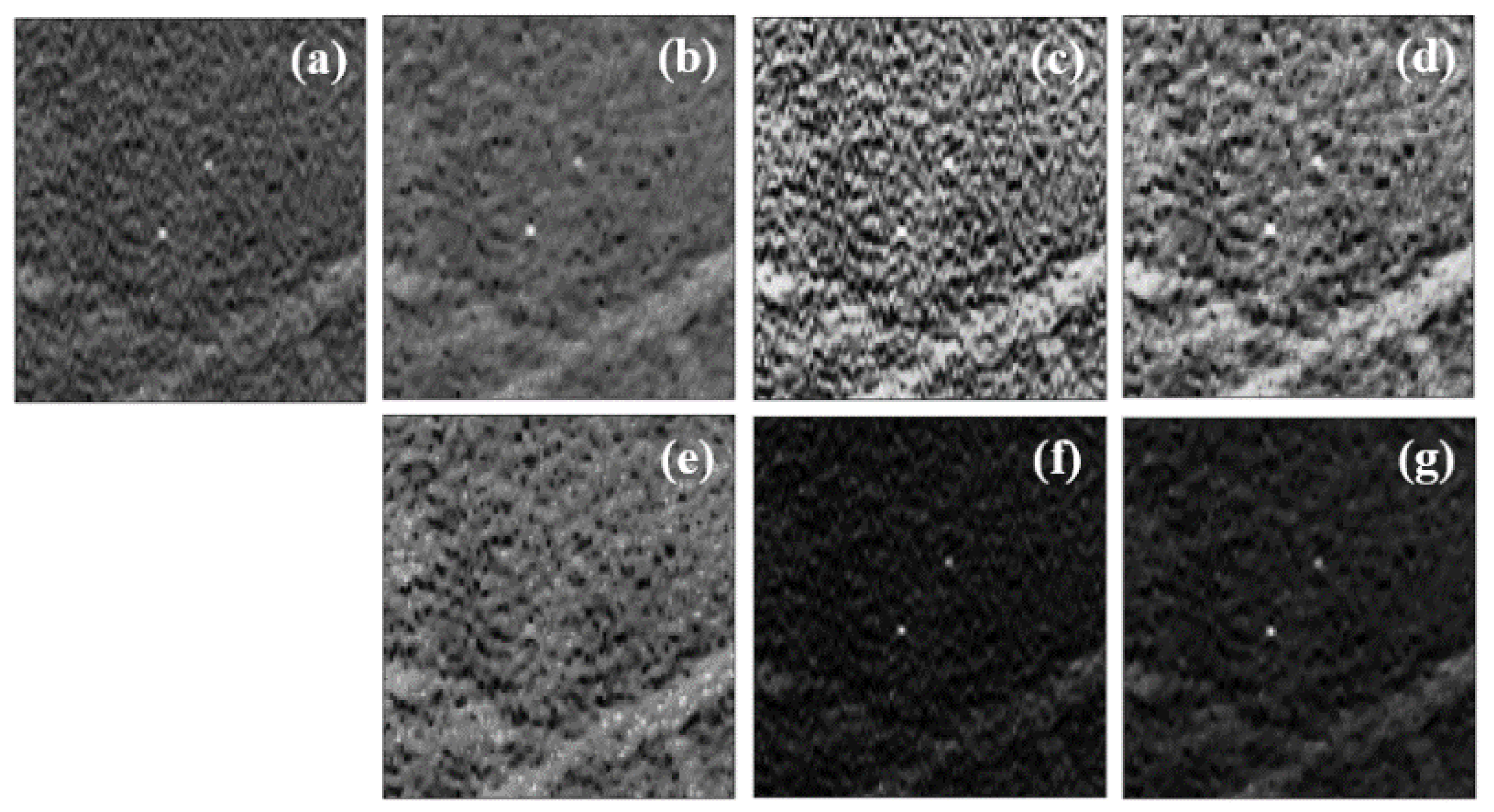 Jimaging 08 00231 g005 550