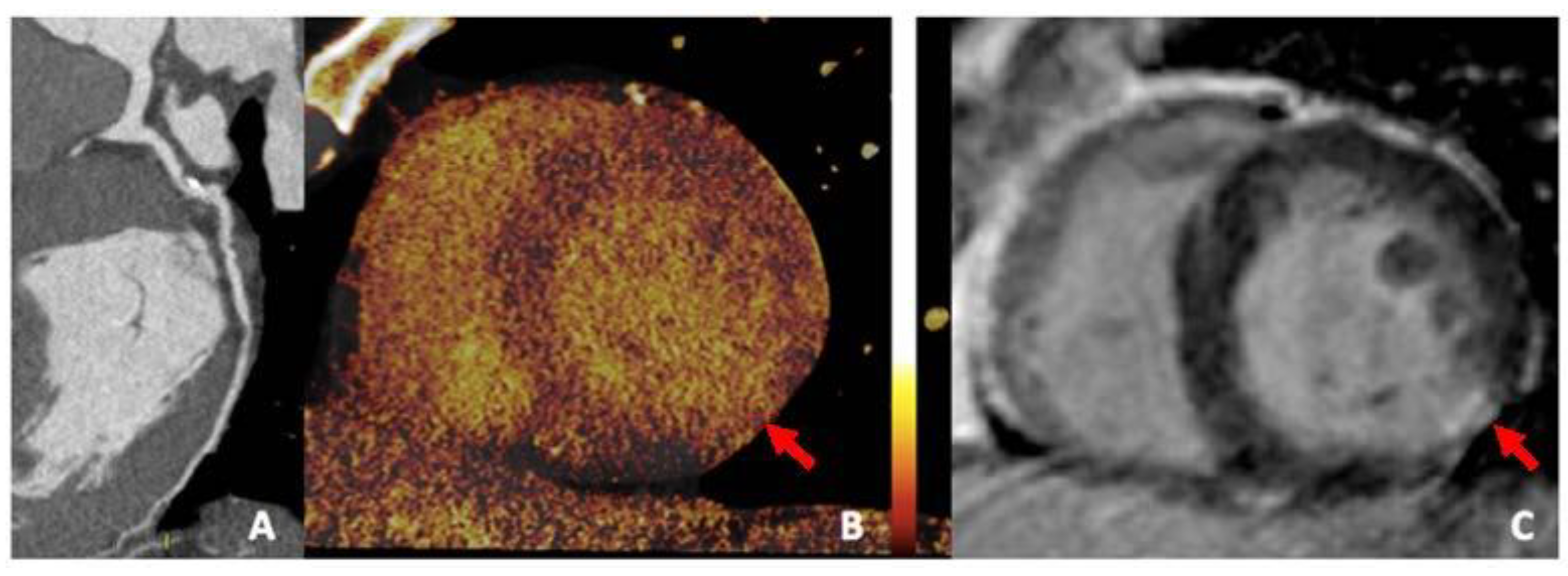 Jimaging 08 00236 g005 550