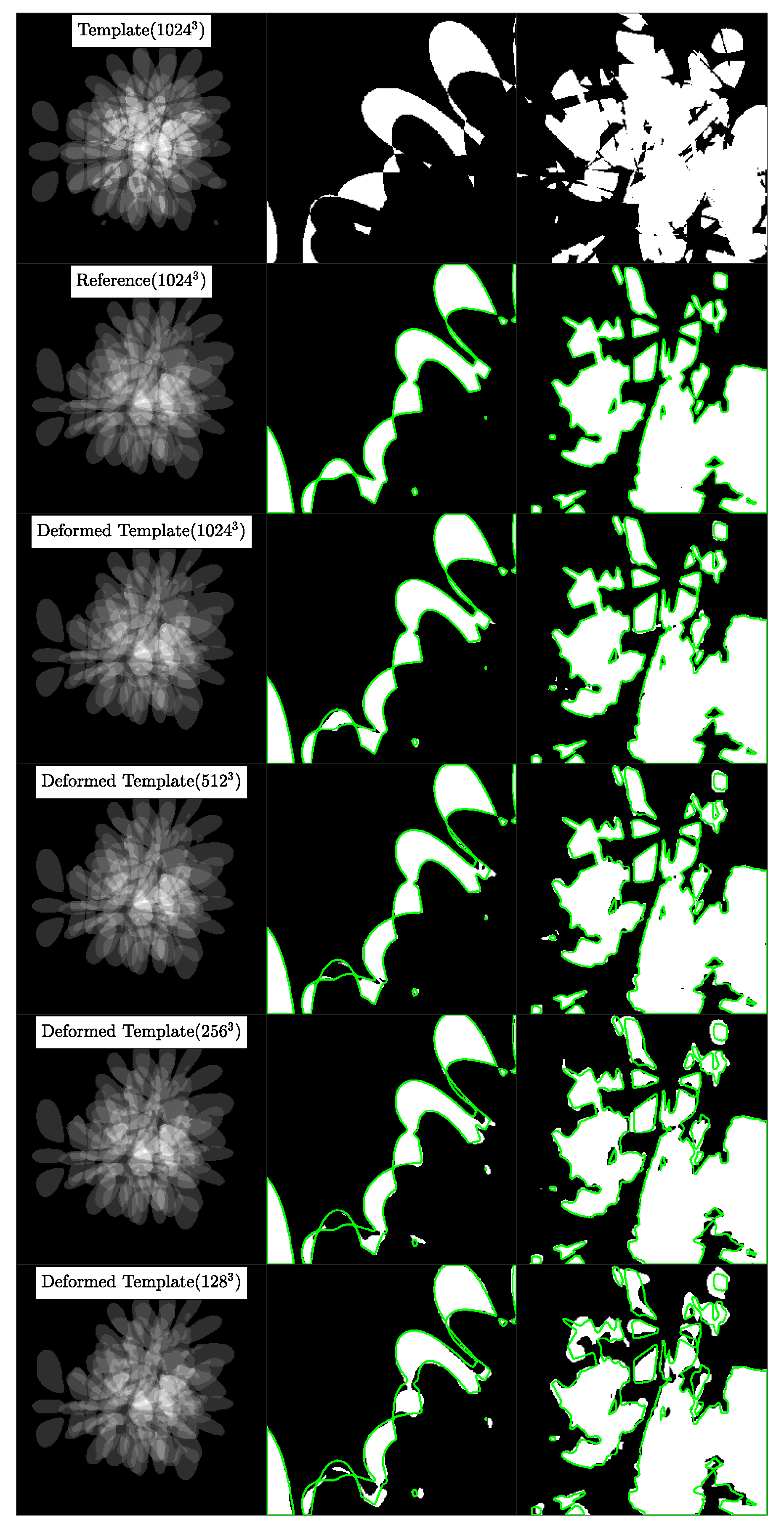 Jimaging 08 00251 g004 Jimaging 08 00251 g004