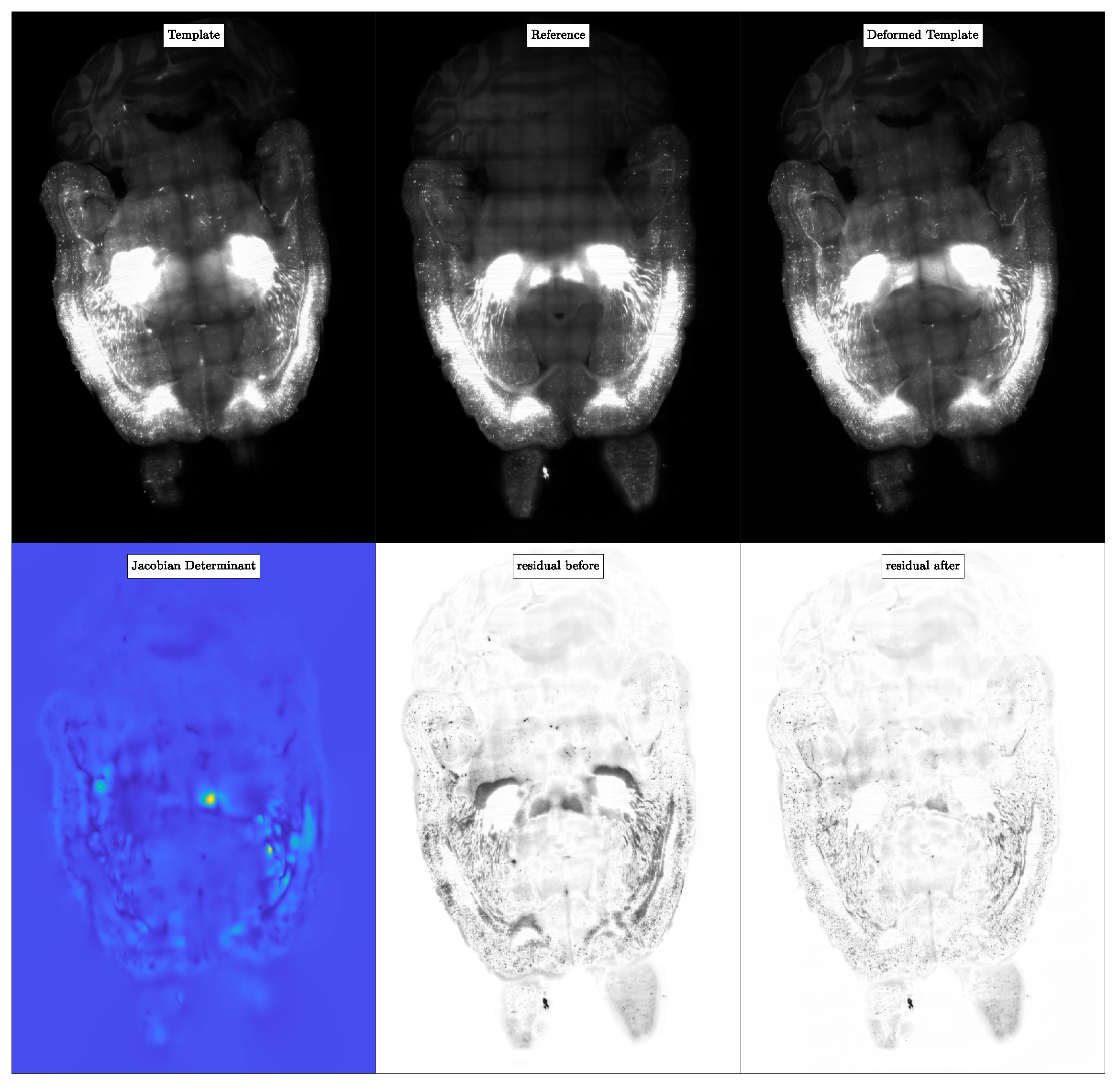 Jimaging 08 00251 g008 Jimaging 08 00251 g008