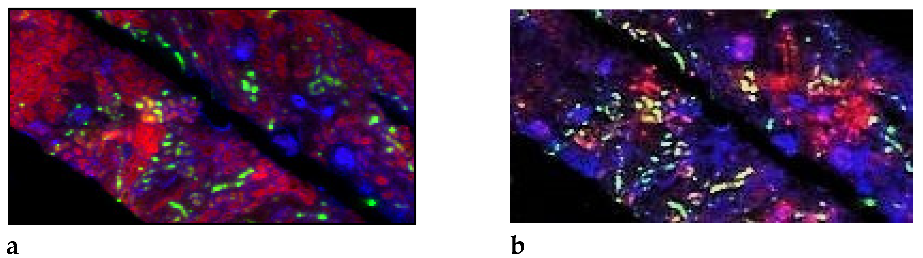 Jimaging 08 00254 g005