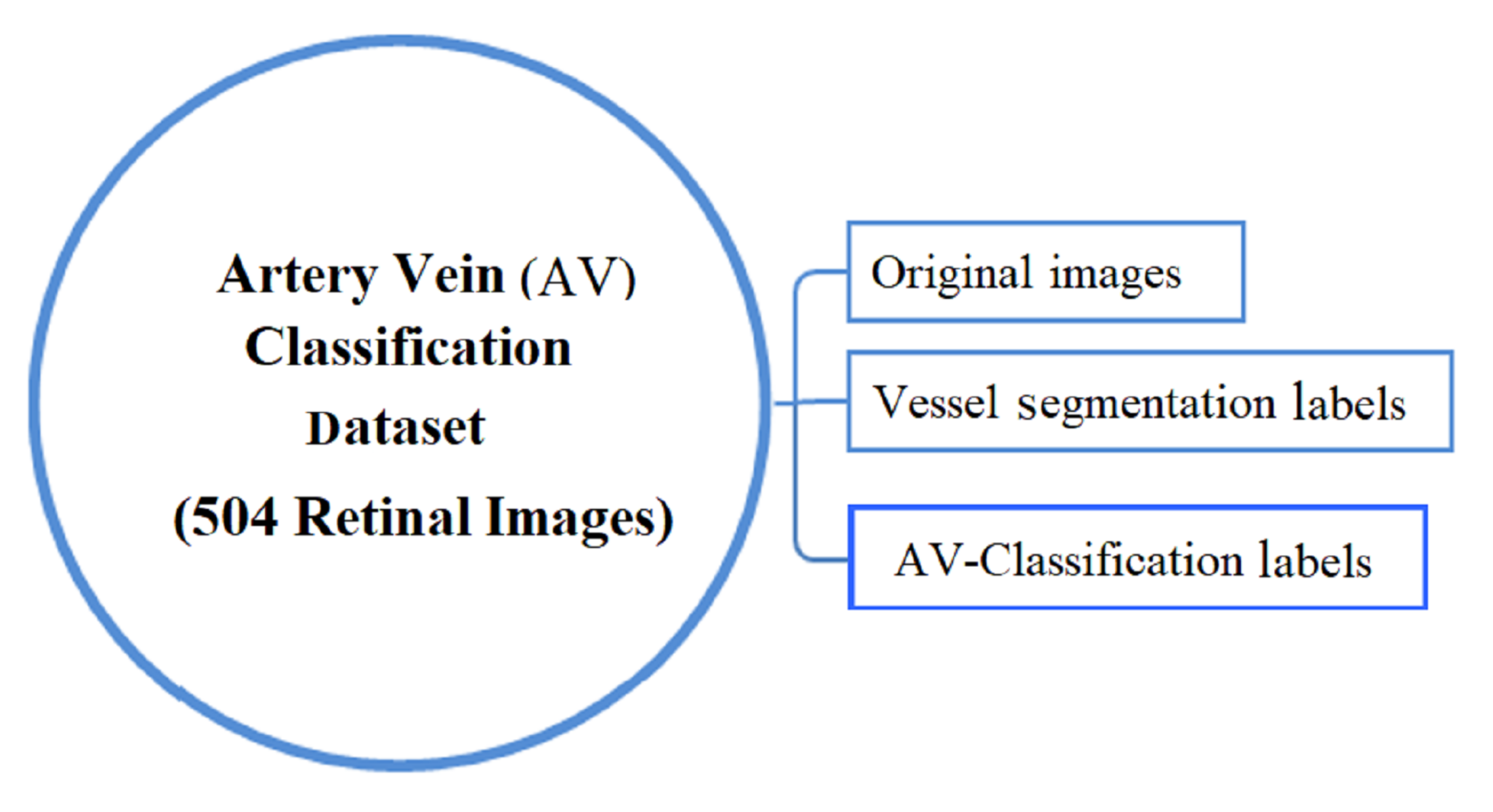 Jimaging 08 00258 g001