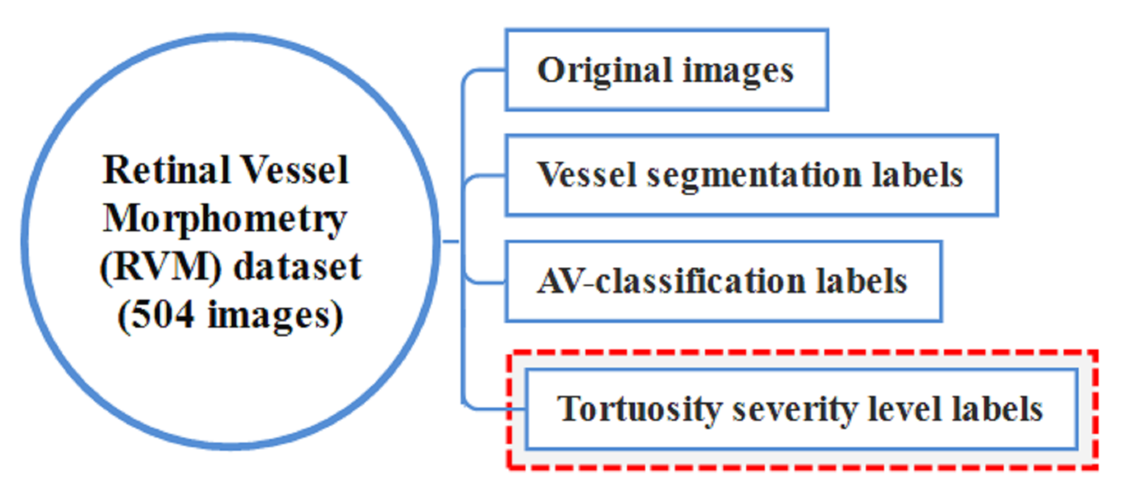 Jimaging 08 00258 g008