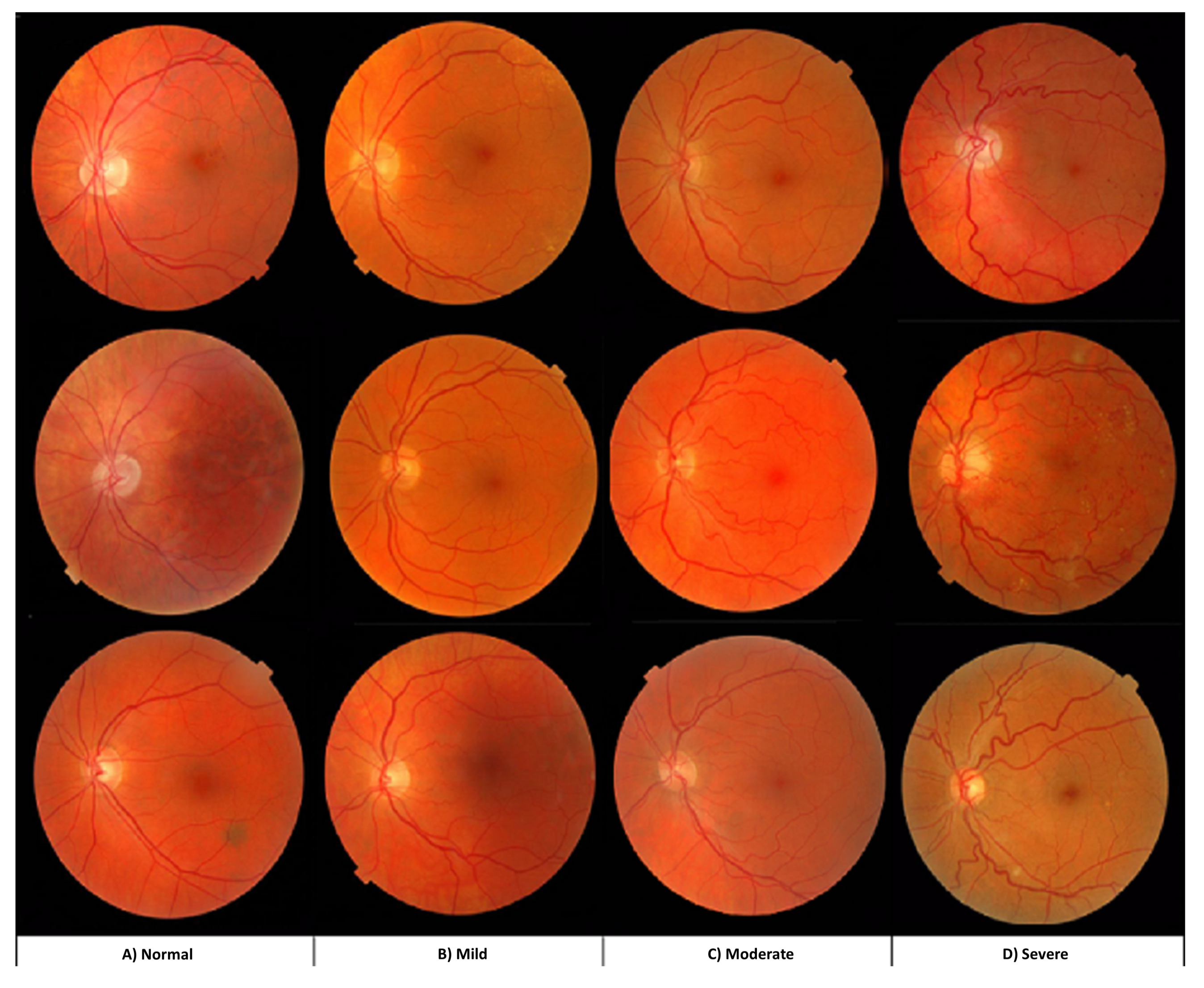 Jimaging 08 00258 g009