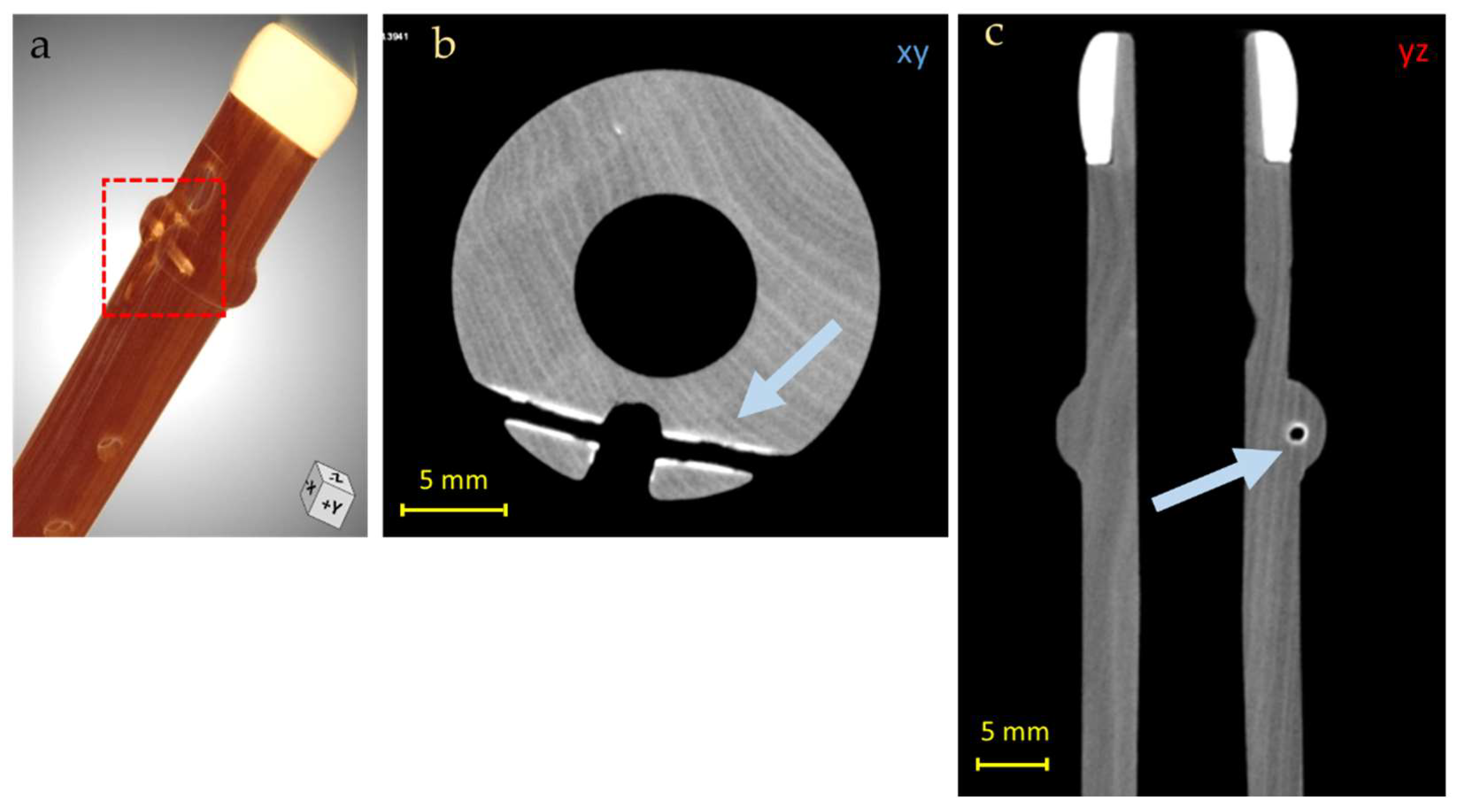 Jimaging 08 00260 g007 Jimaging 08 00260 g007
