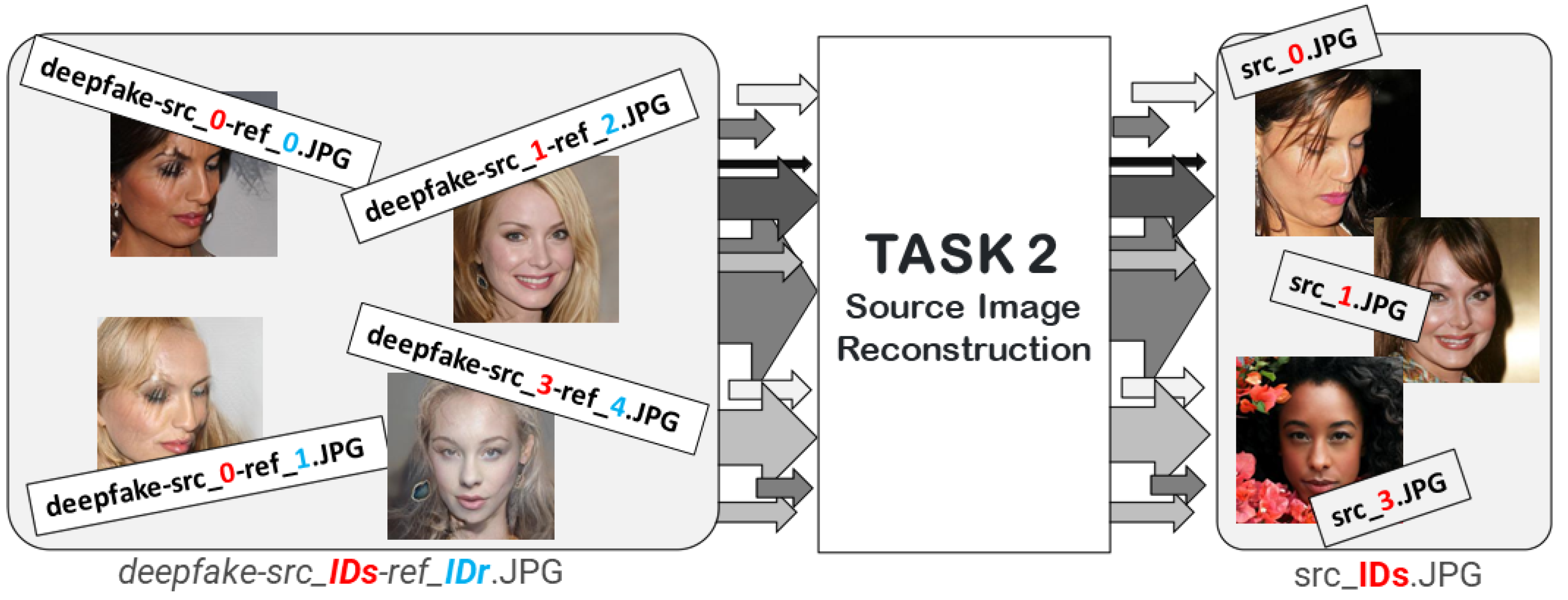 Jimaging 08 00263 g004 Jimaging 08 00263 g004