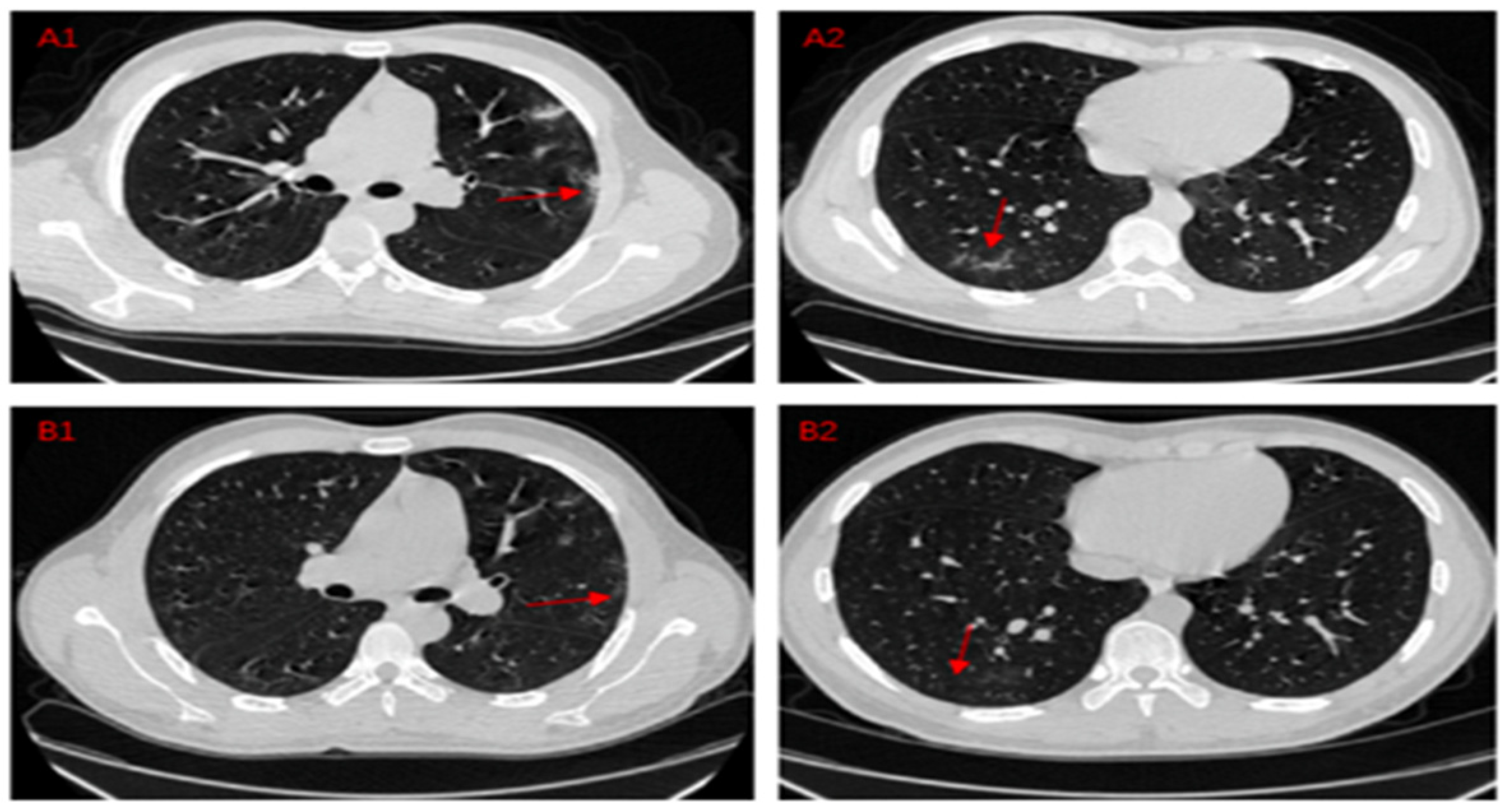 Jimaging 08 00267 g003 550