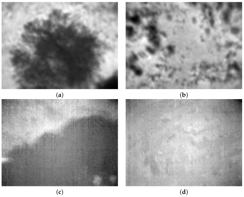 Jimaging 08 00279 g008 Jimaging 08 00279 g008