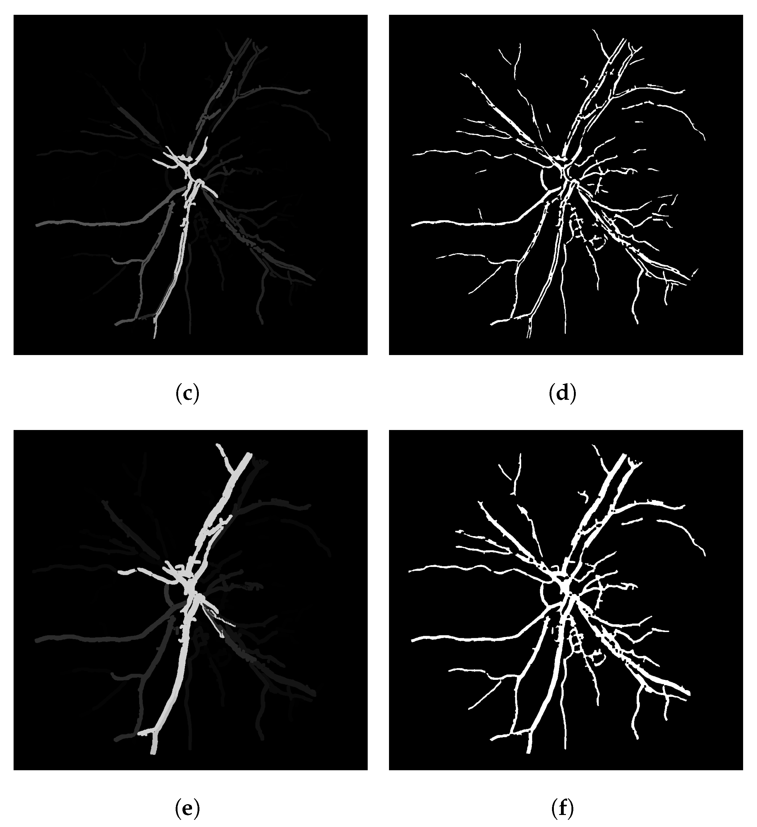 Local-Sensitive Connectivity Filter (LS-CF): A Post-Processing ...