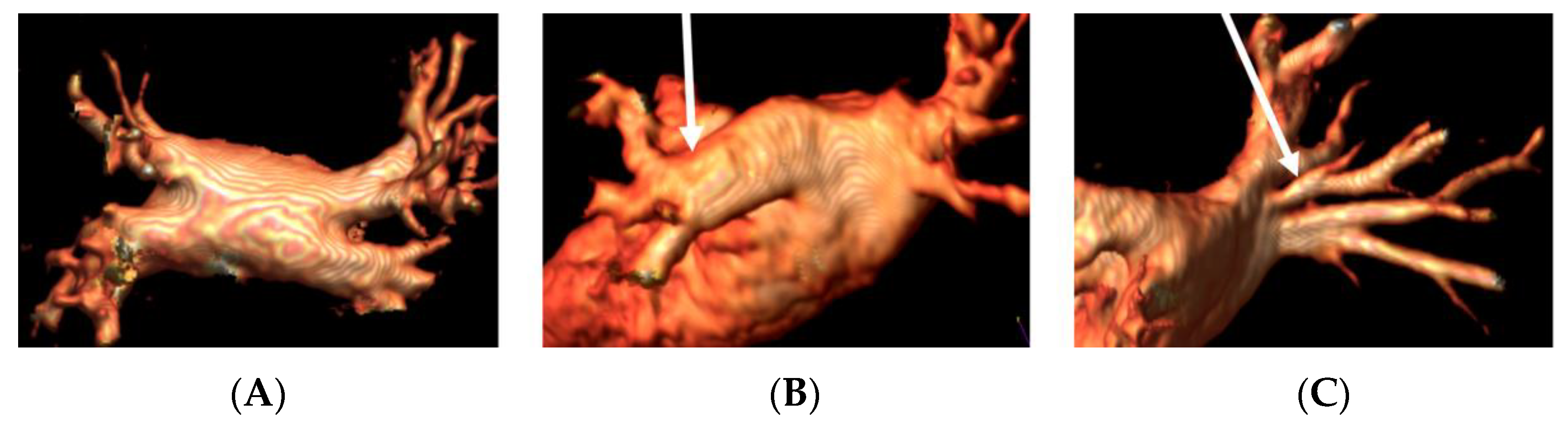 Jimaging 08 00300 g001 Jimaging 08 00300 g001