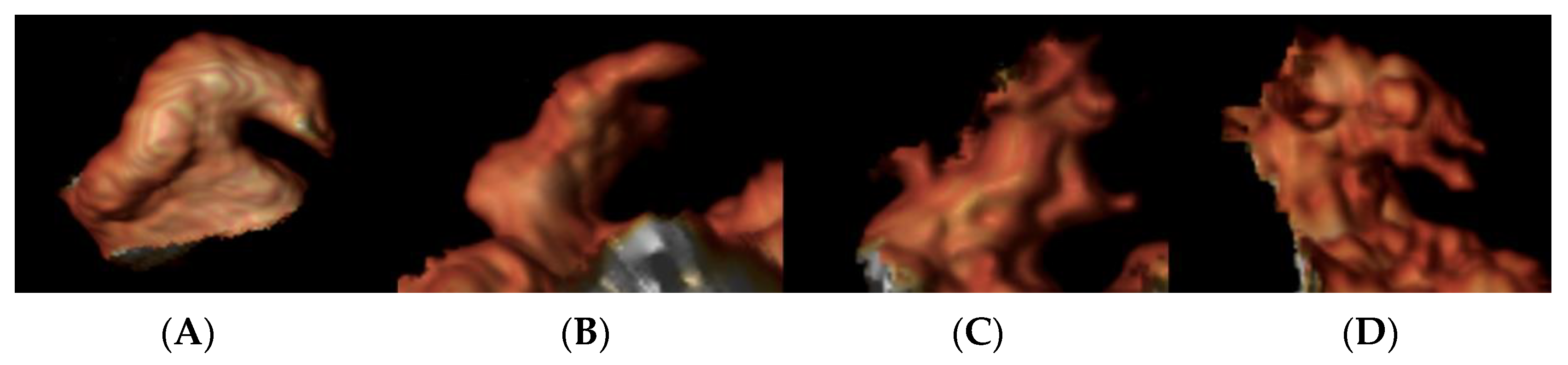 Jimaging 08 00300 g002 Jimaging 08 00300 g002