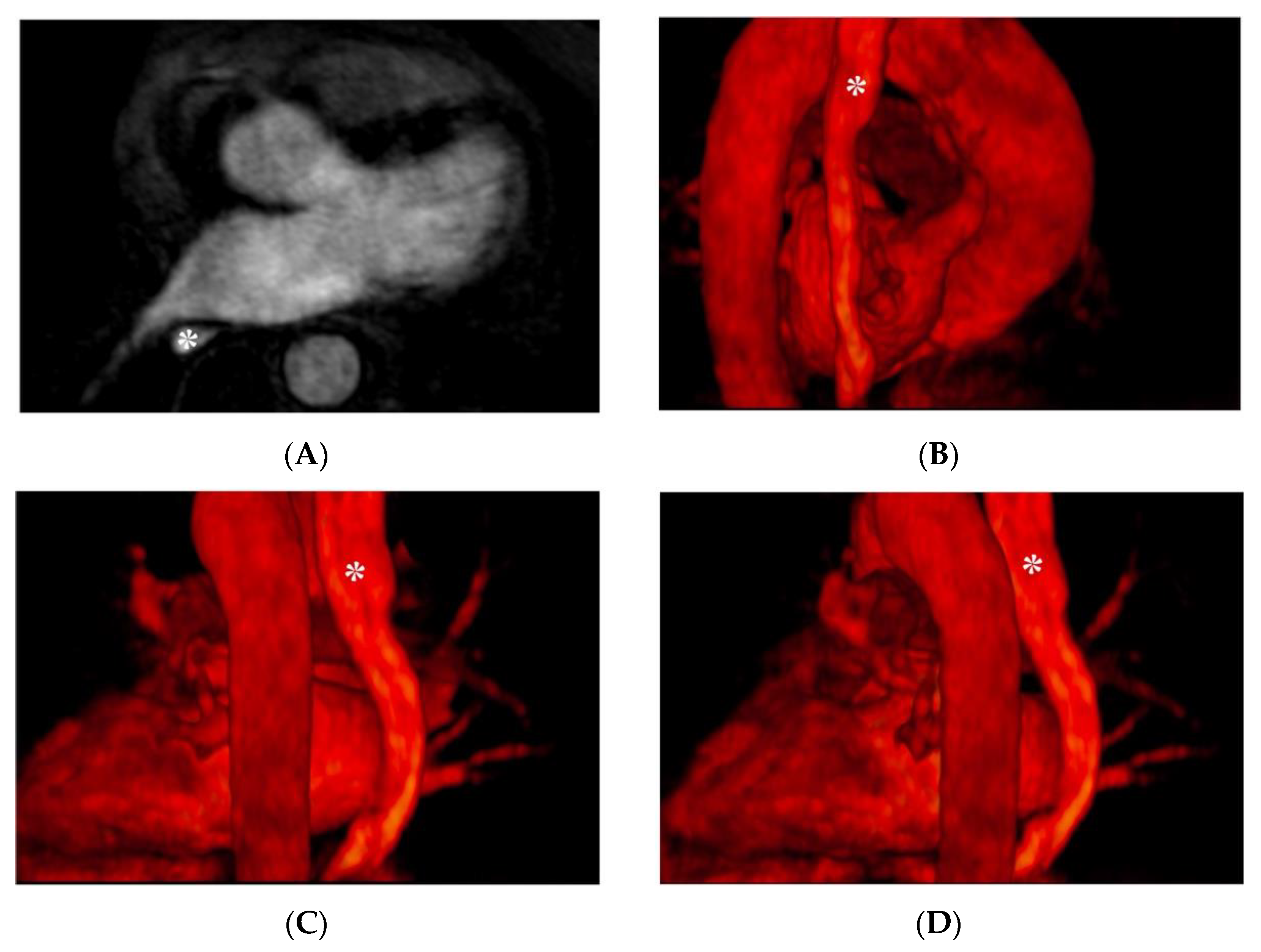 Jimaging 08 00300 g003 Jimaging 08 00300 g003