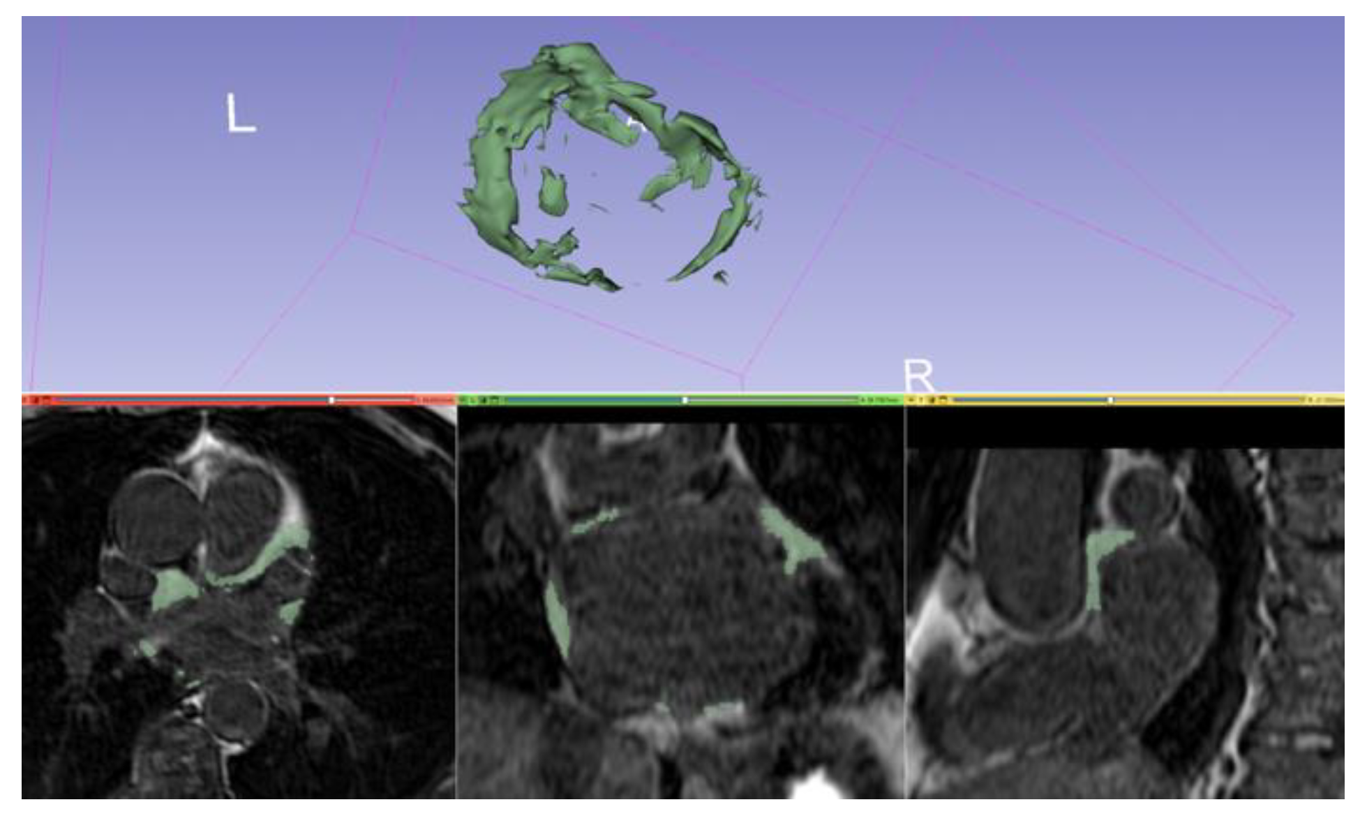 Jimaging 08 00300 g008 Jimaging 08 00300 g008