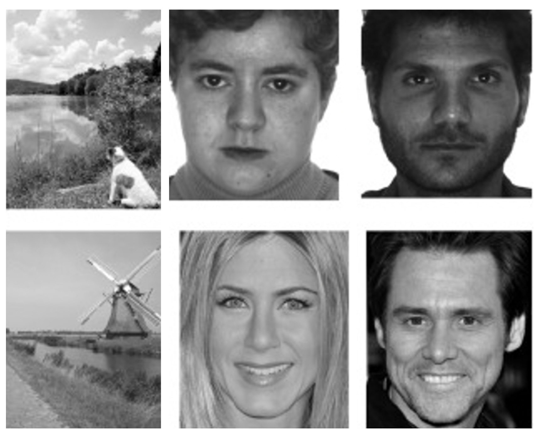 Jimaging 08 00307 g002 Jimaging 08 00307 g002