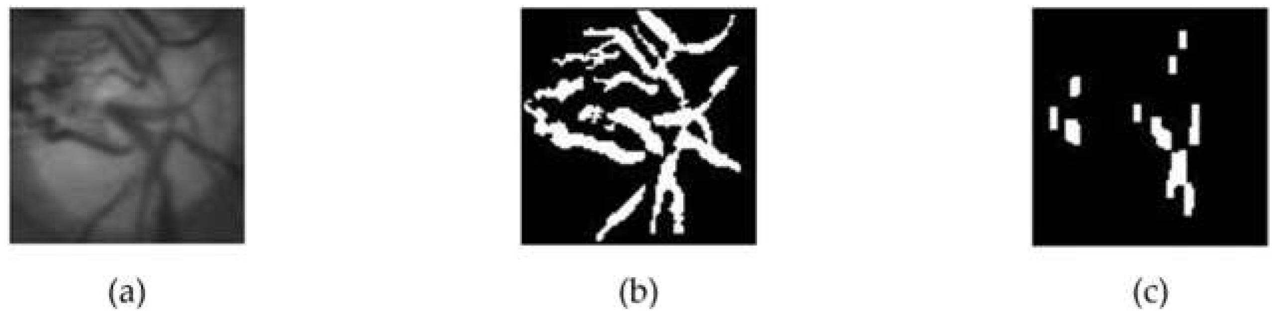 Jimaging 08 00313 g005 Jimaging 08 00313 g005