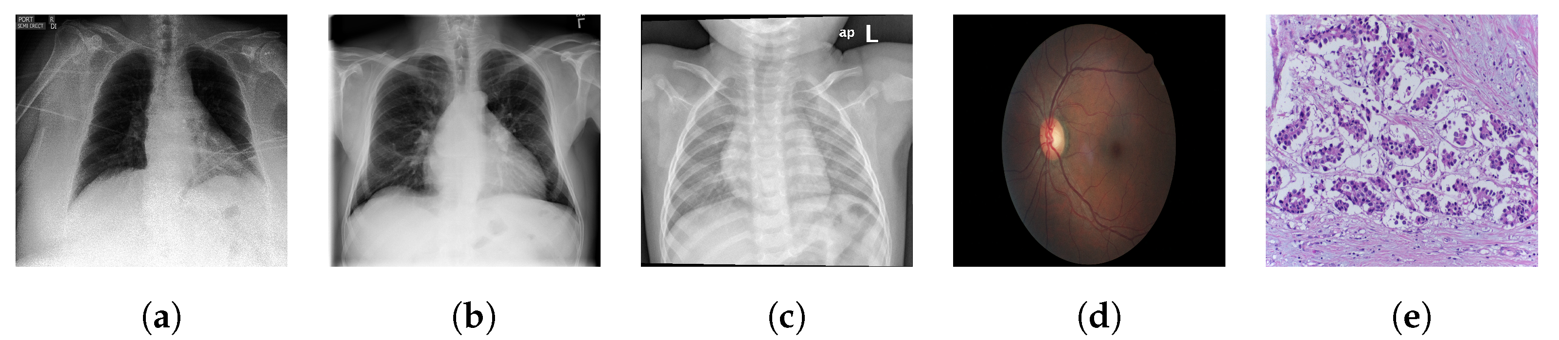 Jimaging 08 00320 g001 Jimaging 08 00320 g001