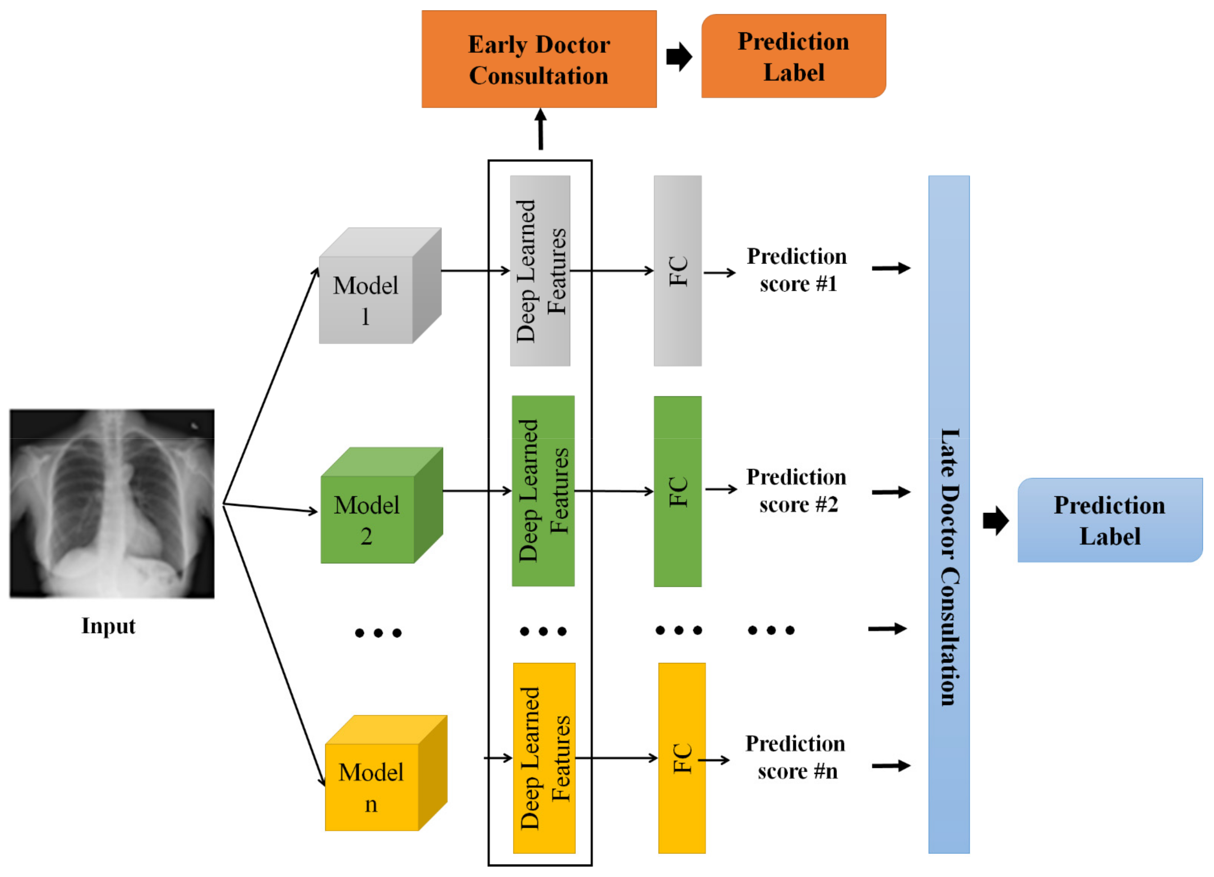 Jimaging 08 00323 g002