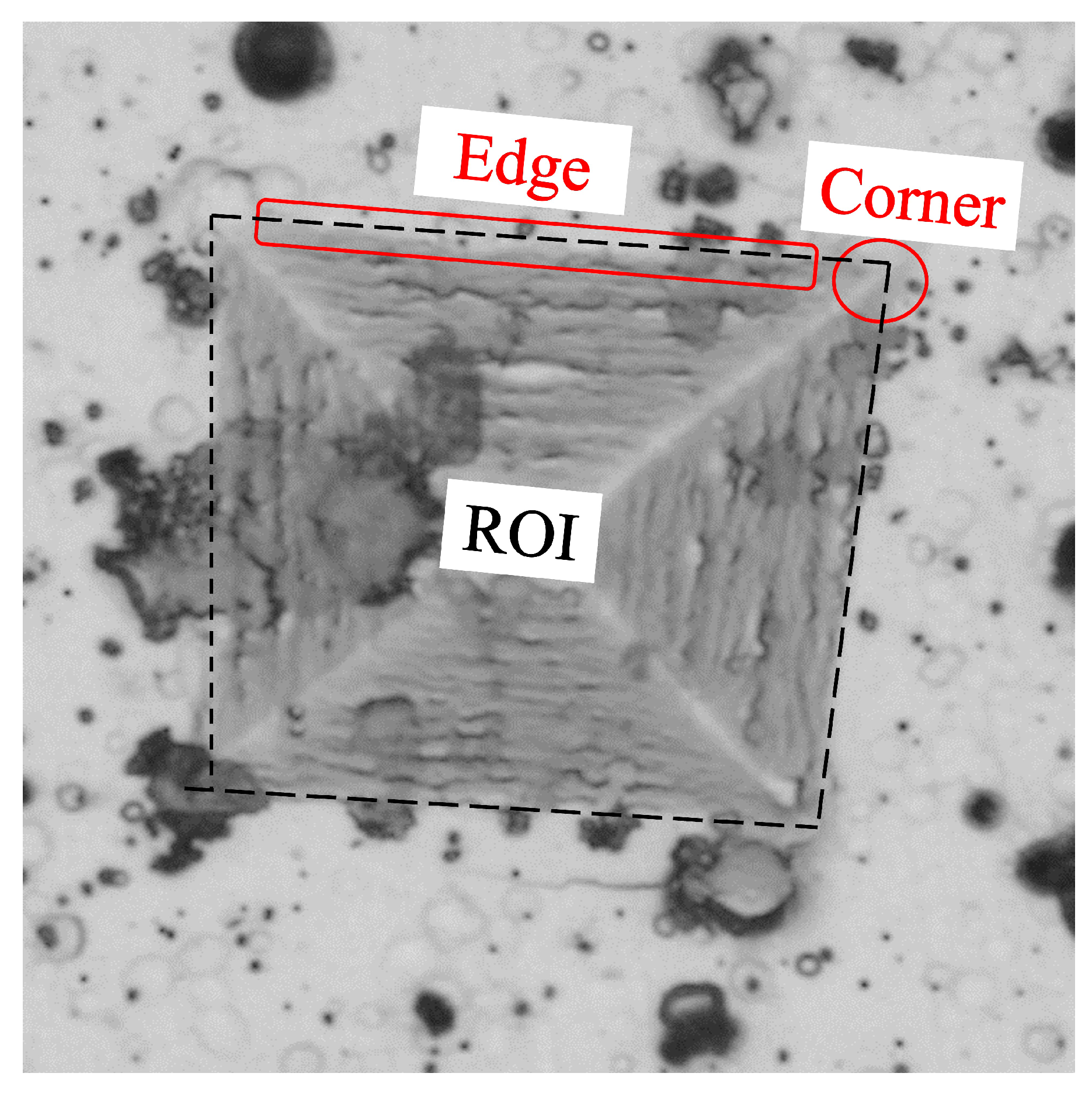 Jimaging 09 00008 g003 Jimaging 09 00008 g003