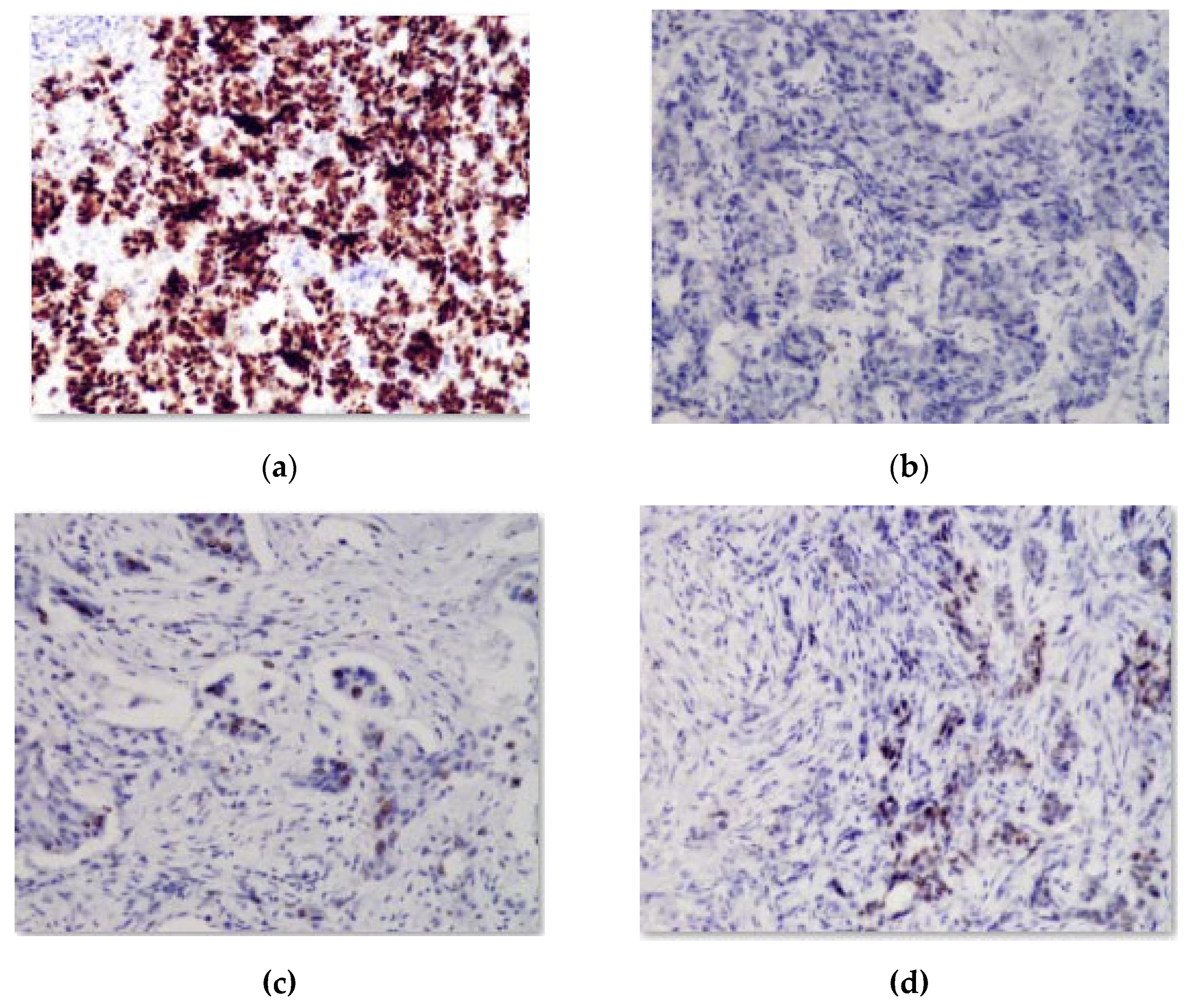 Jimaging 09 00012 g002