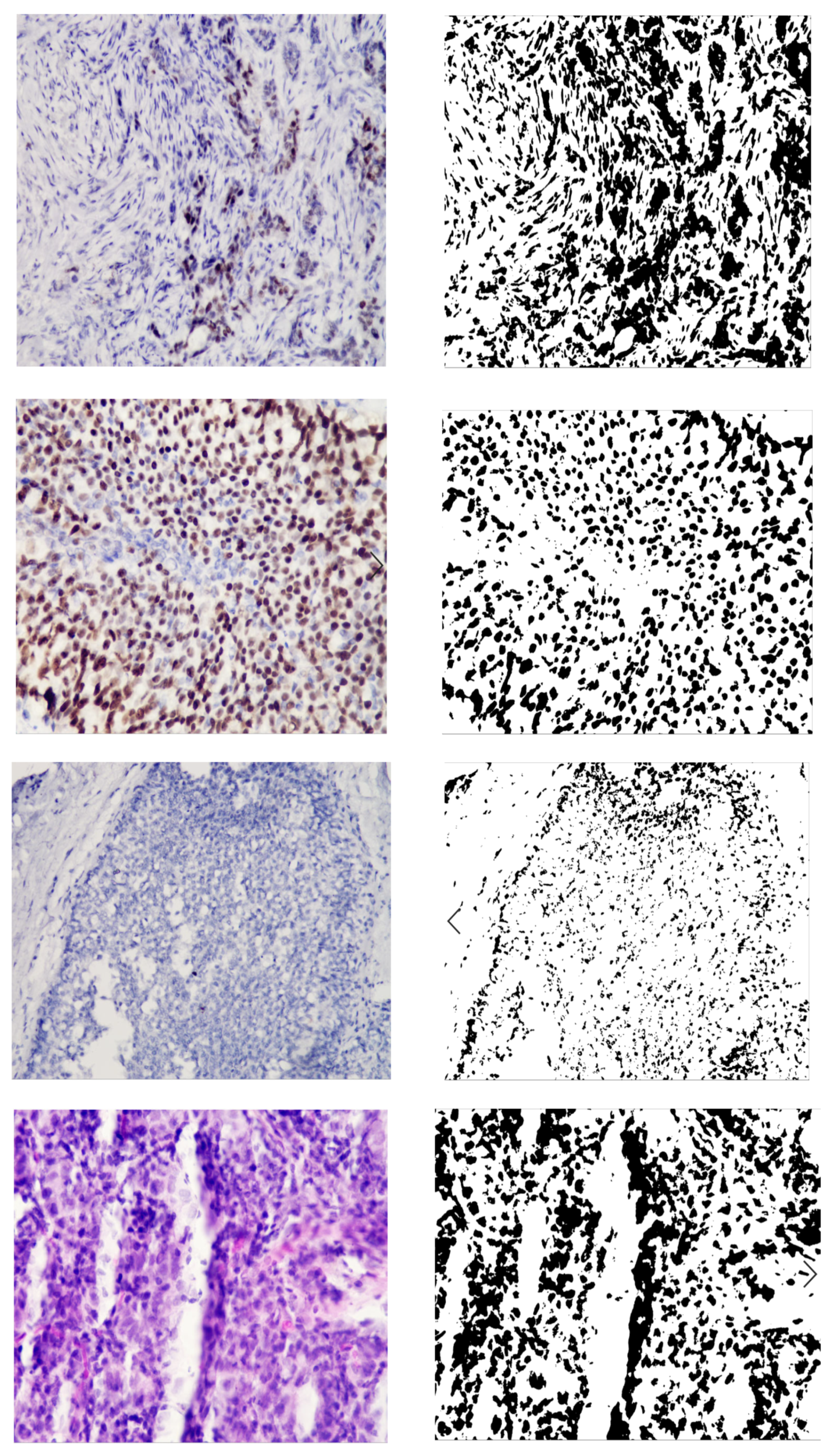 Jimaging 09 00012 g003