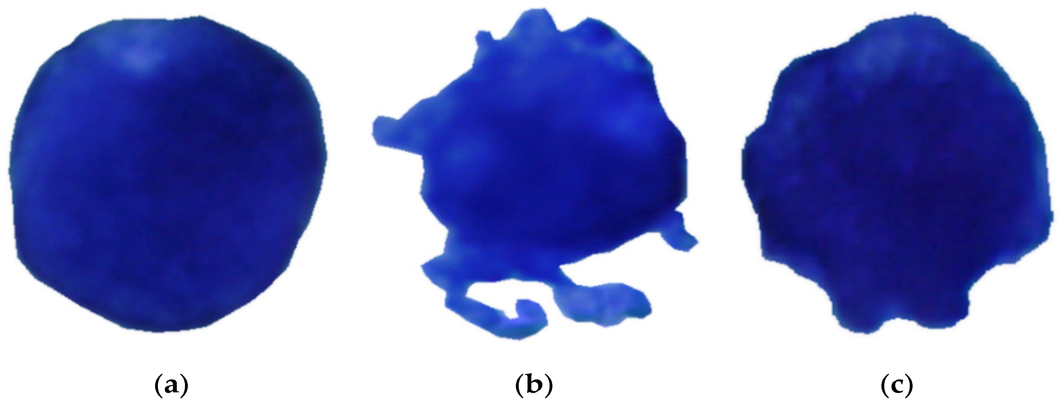 Jimaging 09 00013 g001 Jimaging 09 00013 g001