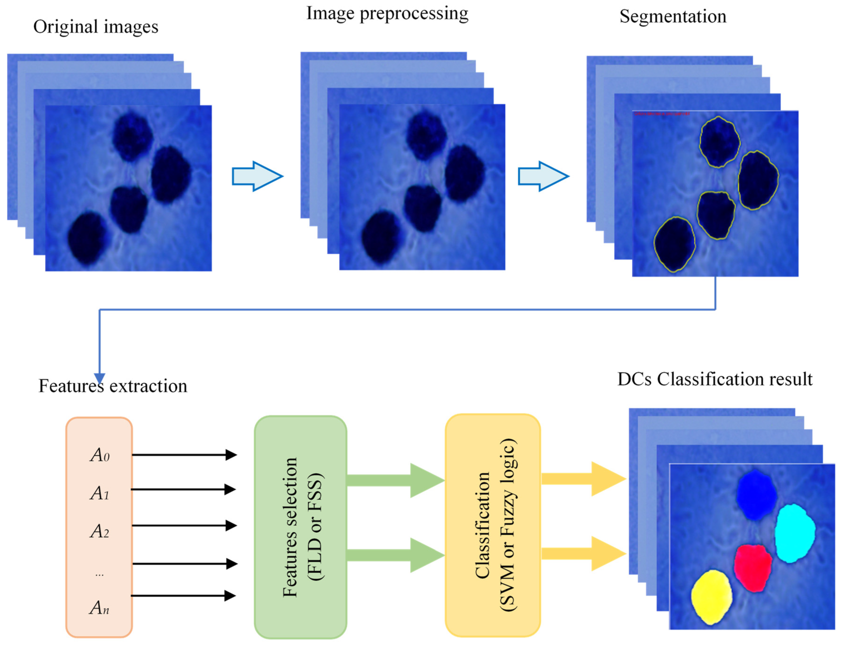 Jimaging 09 00013 g002 Jimaging 09 00013 g002