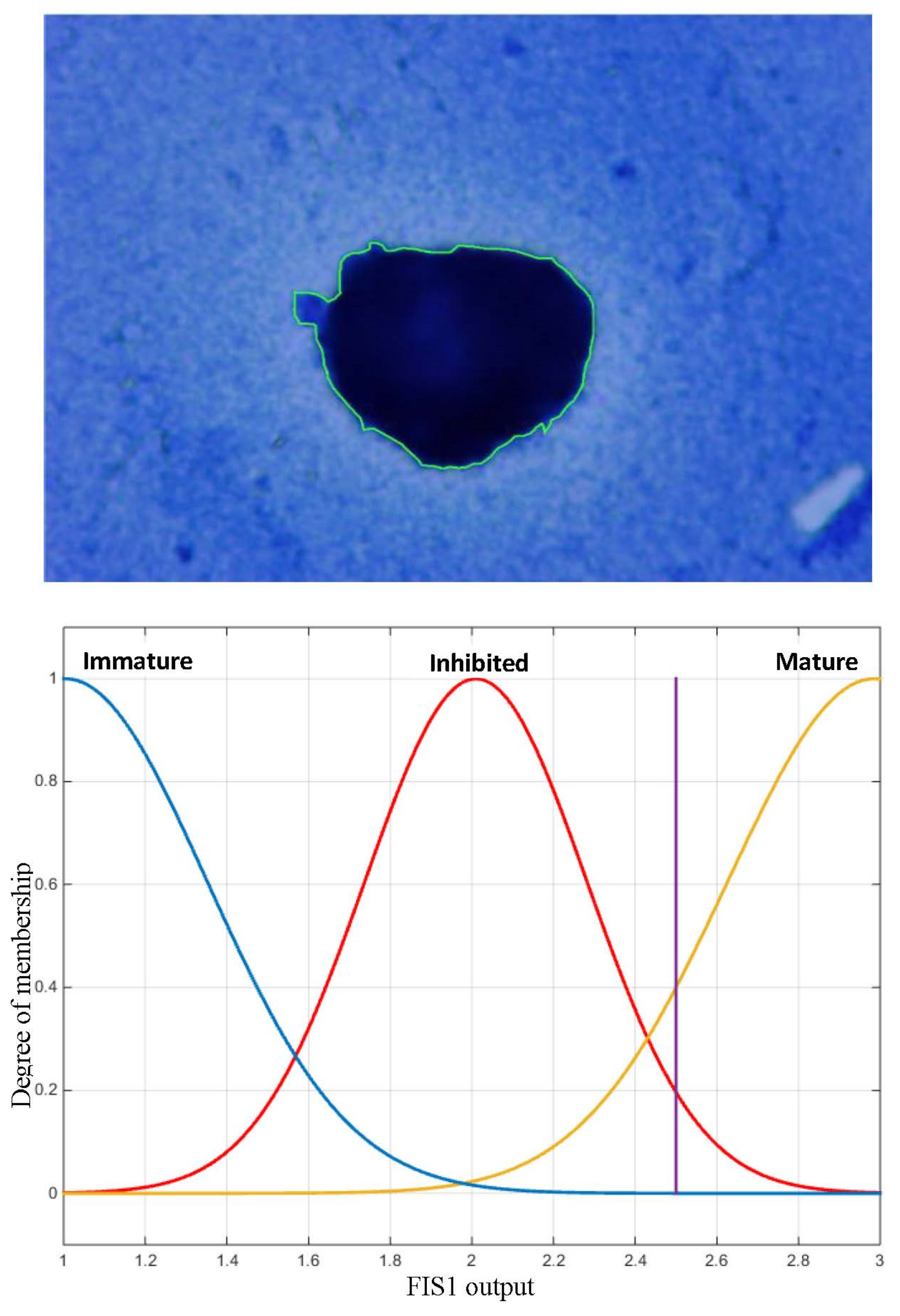 Jimaging 09 00013 g010 Jimaging 09 00013 g010