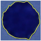 Jimaging 09 00013 i003 Jimaging 09 00013 i003