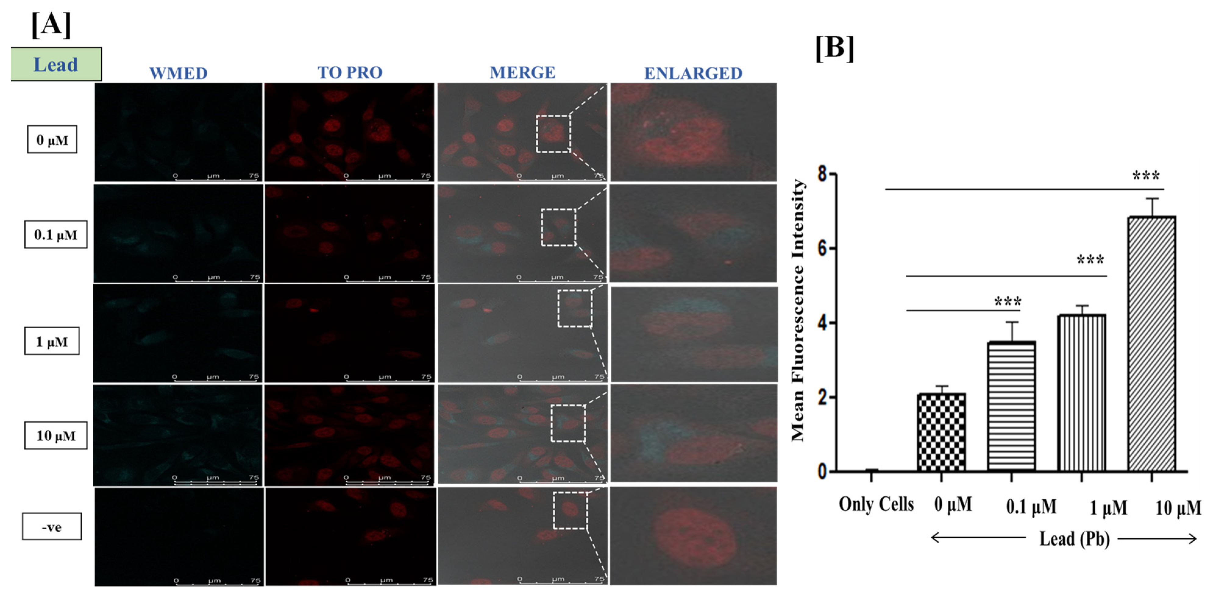 Jimaging 09 00019 g008 Jimaging 09 00019 g008