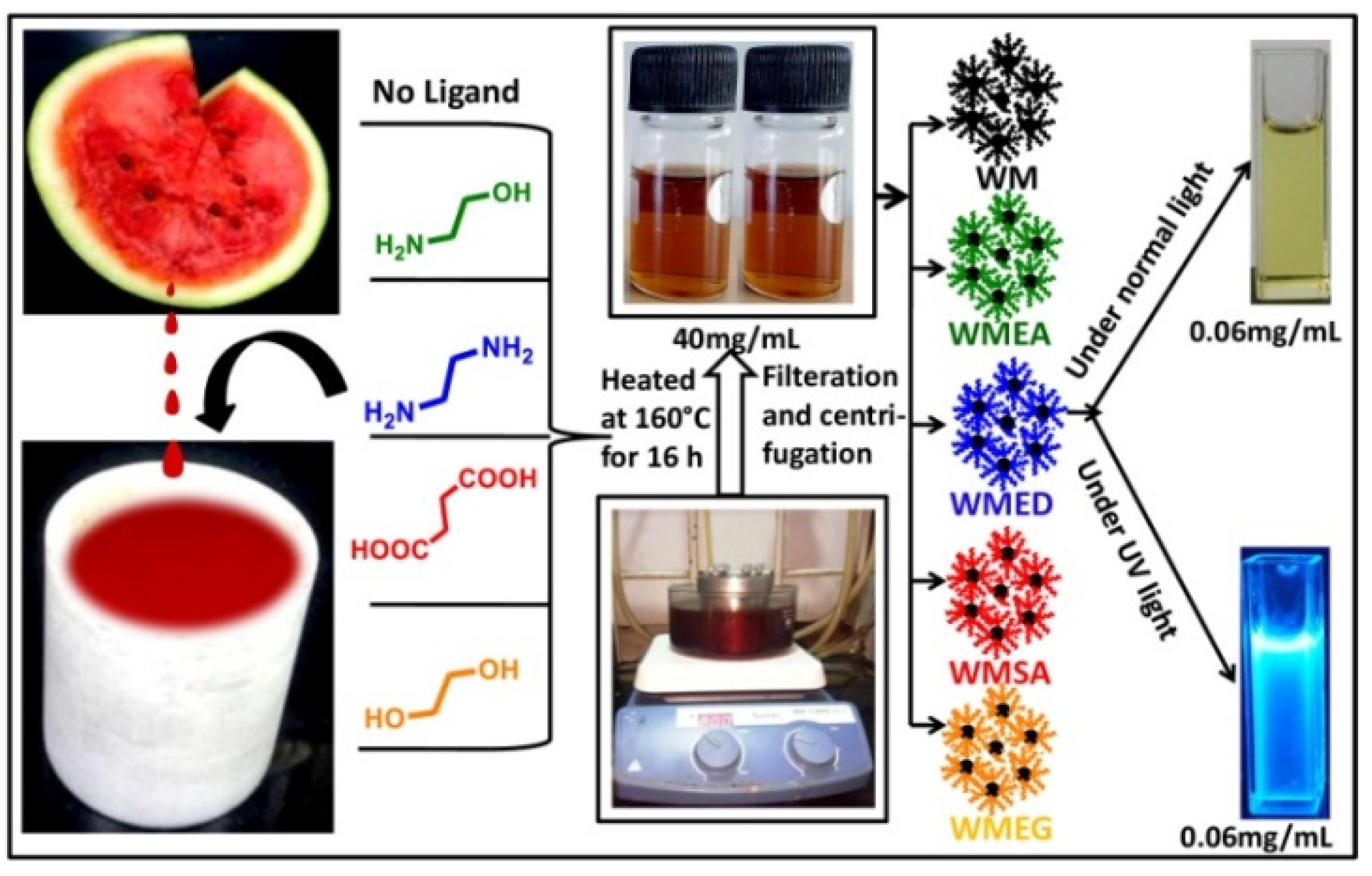 Jimaging 09 00019 sch001 Jimaging 09 00019 sch001