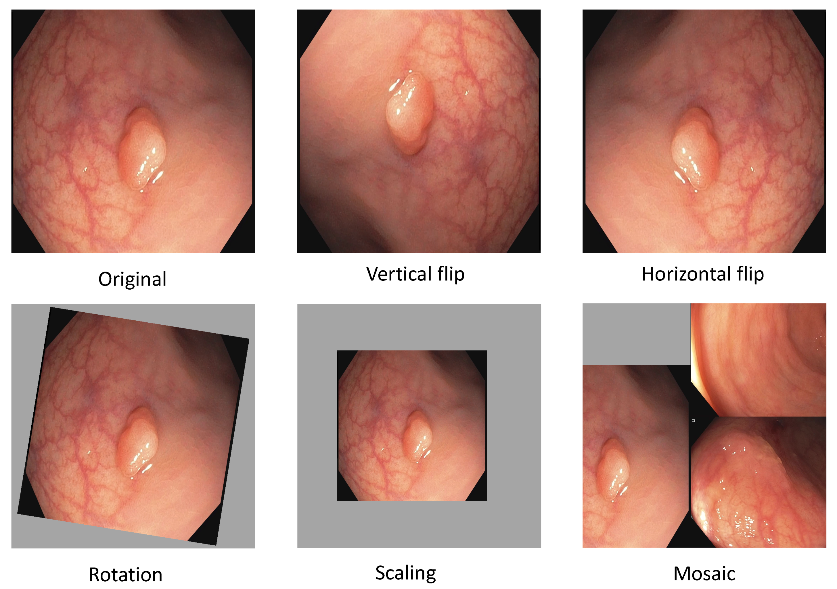 Jimaging 09 00026 g003