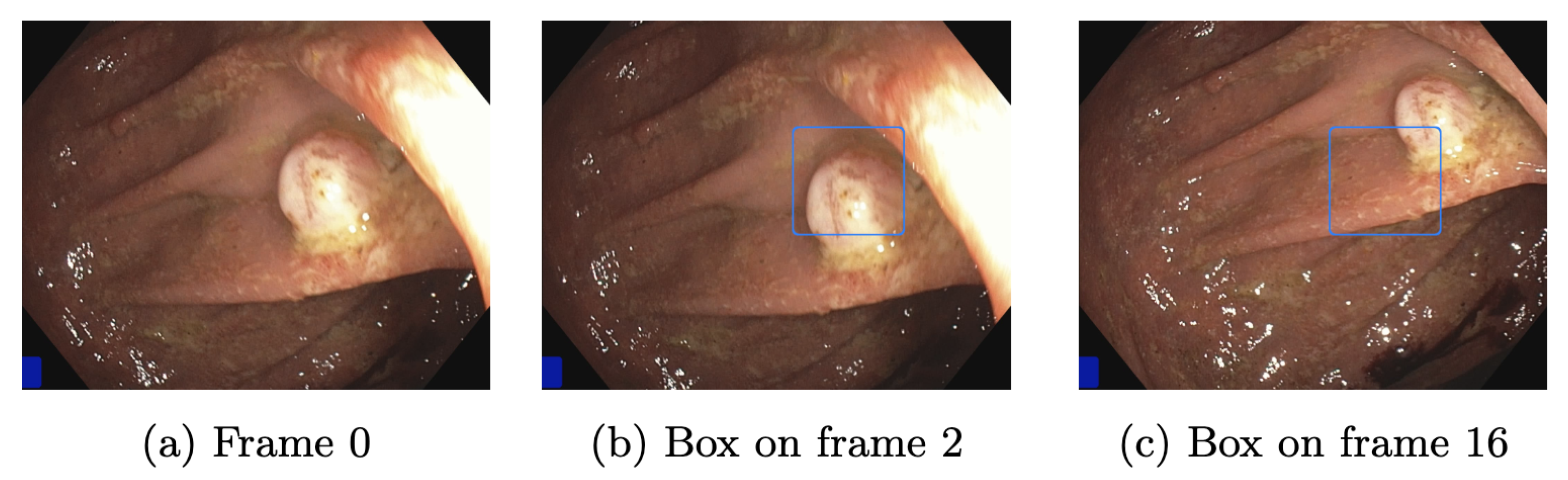 Jimaging 09 00026 g012