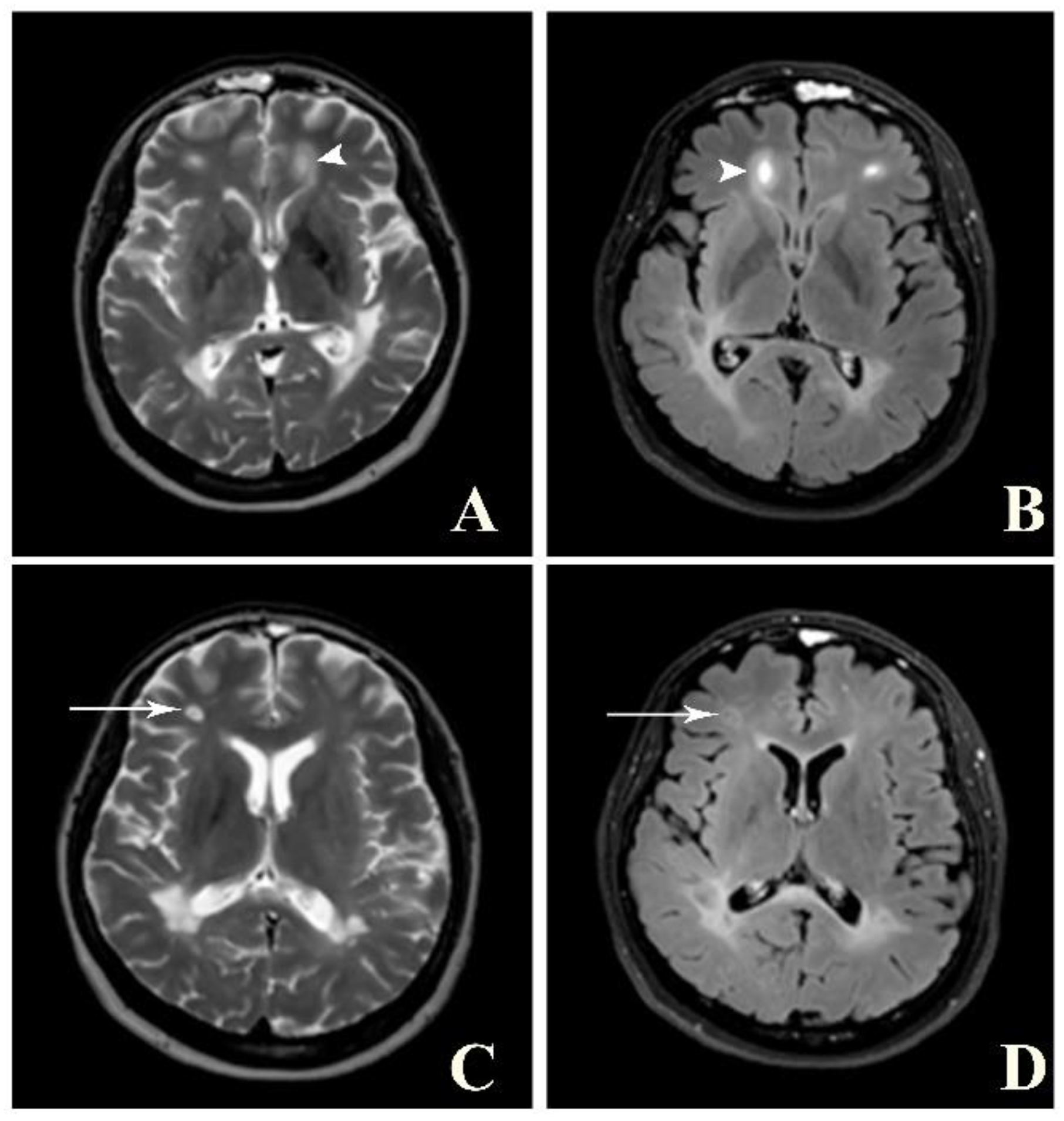 Jimaging 09 00027 g004