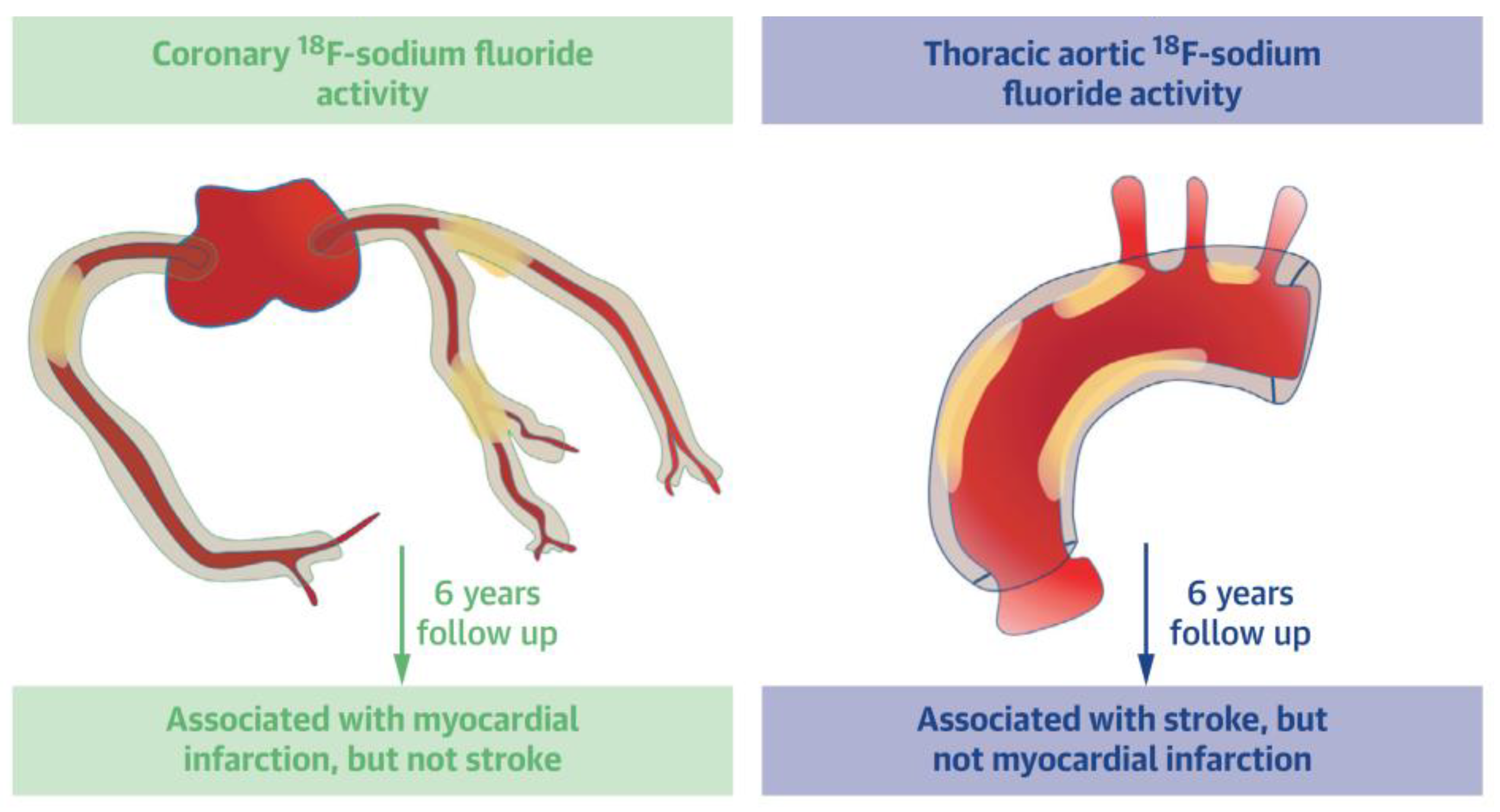 Jimaging 09 00031 g004