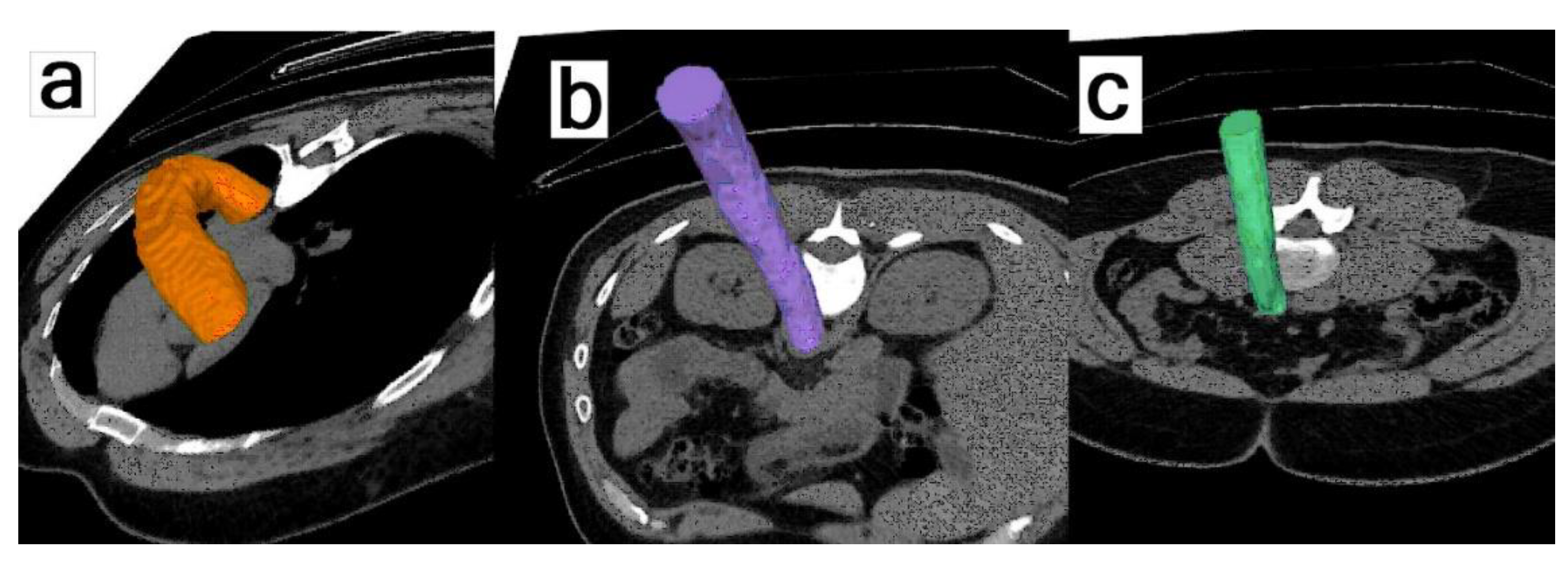 Jimaging 09 00031 g005