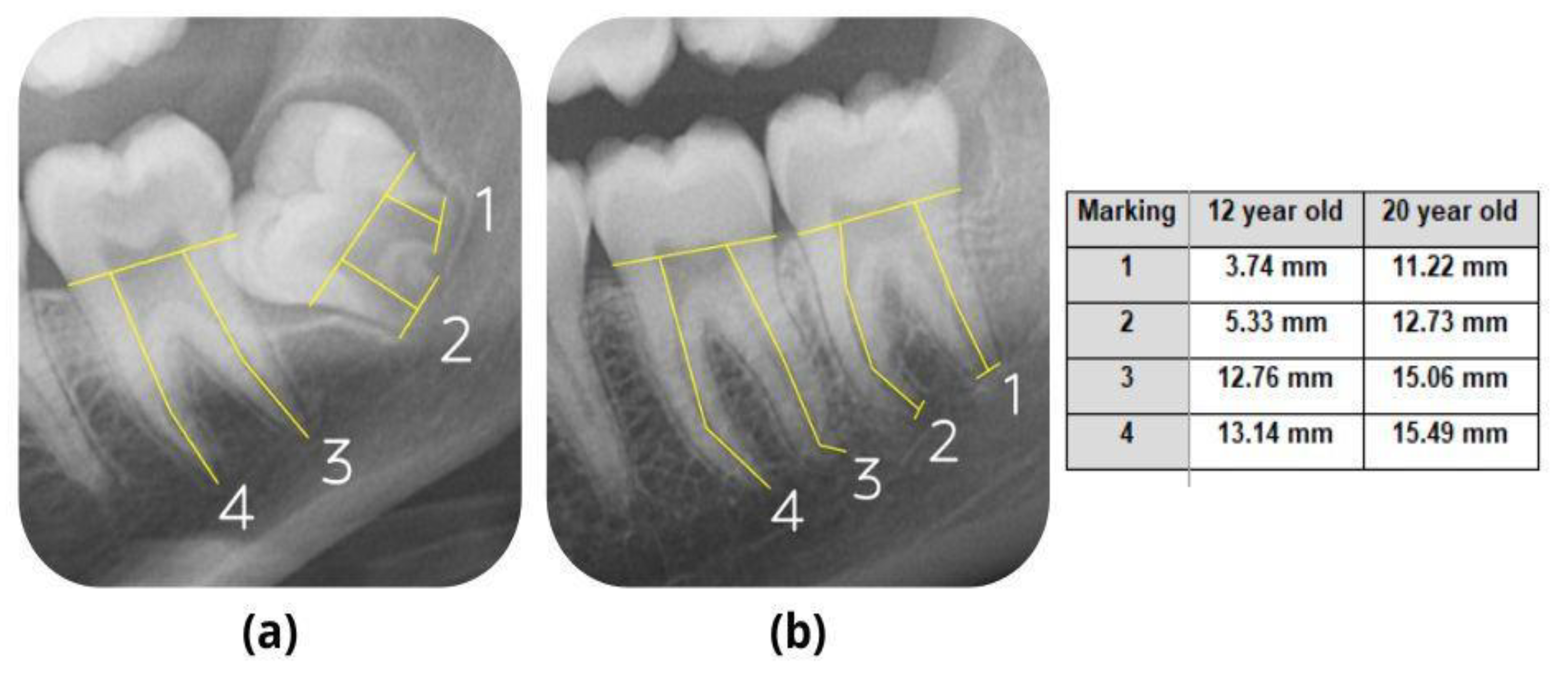 Jimaging 09 00033 g001 Jimaging 09 00033 g001