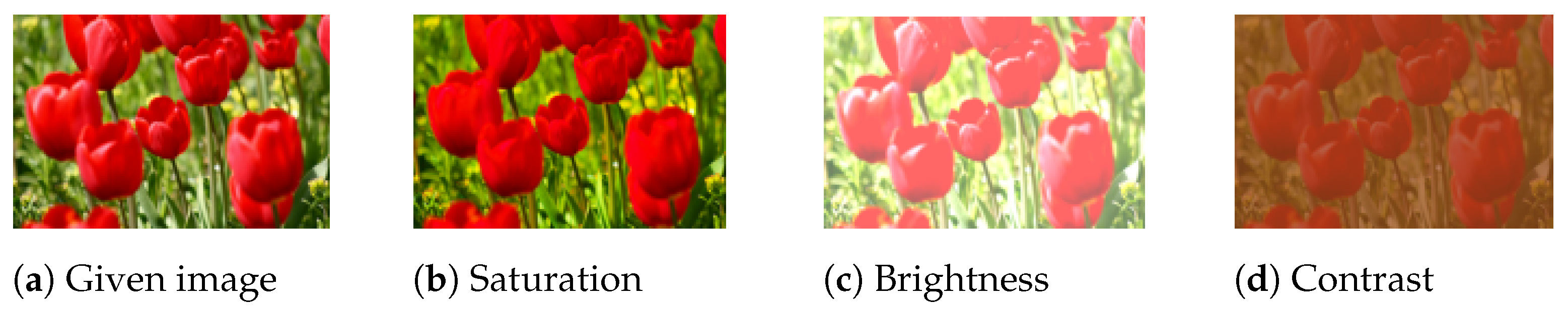 Jimaging 09 00046 g008