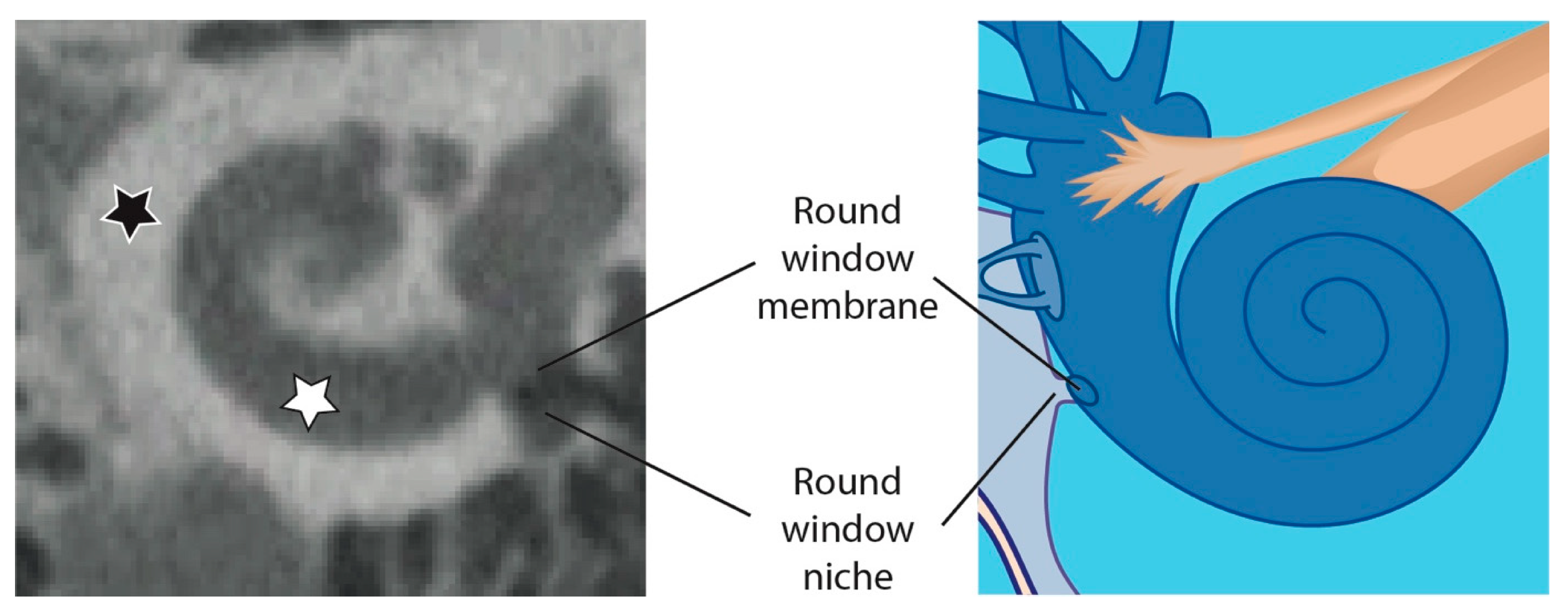 Jimaging 09 00051 g002