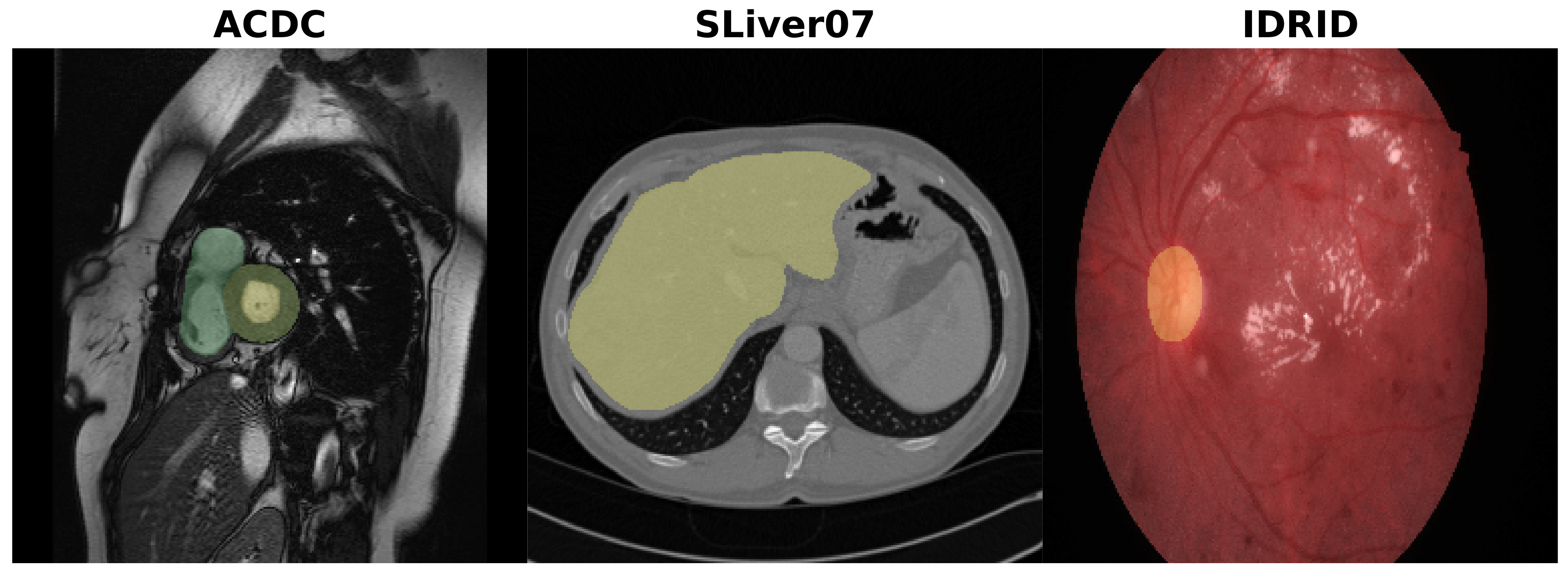 Jimaging 09 00069 g003 Jimaging 09 00069 g003