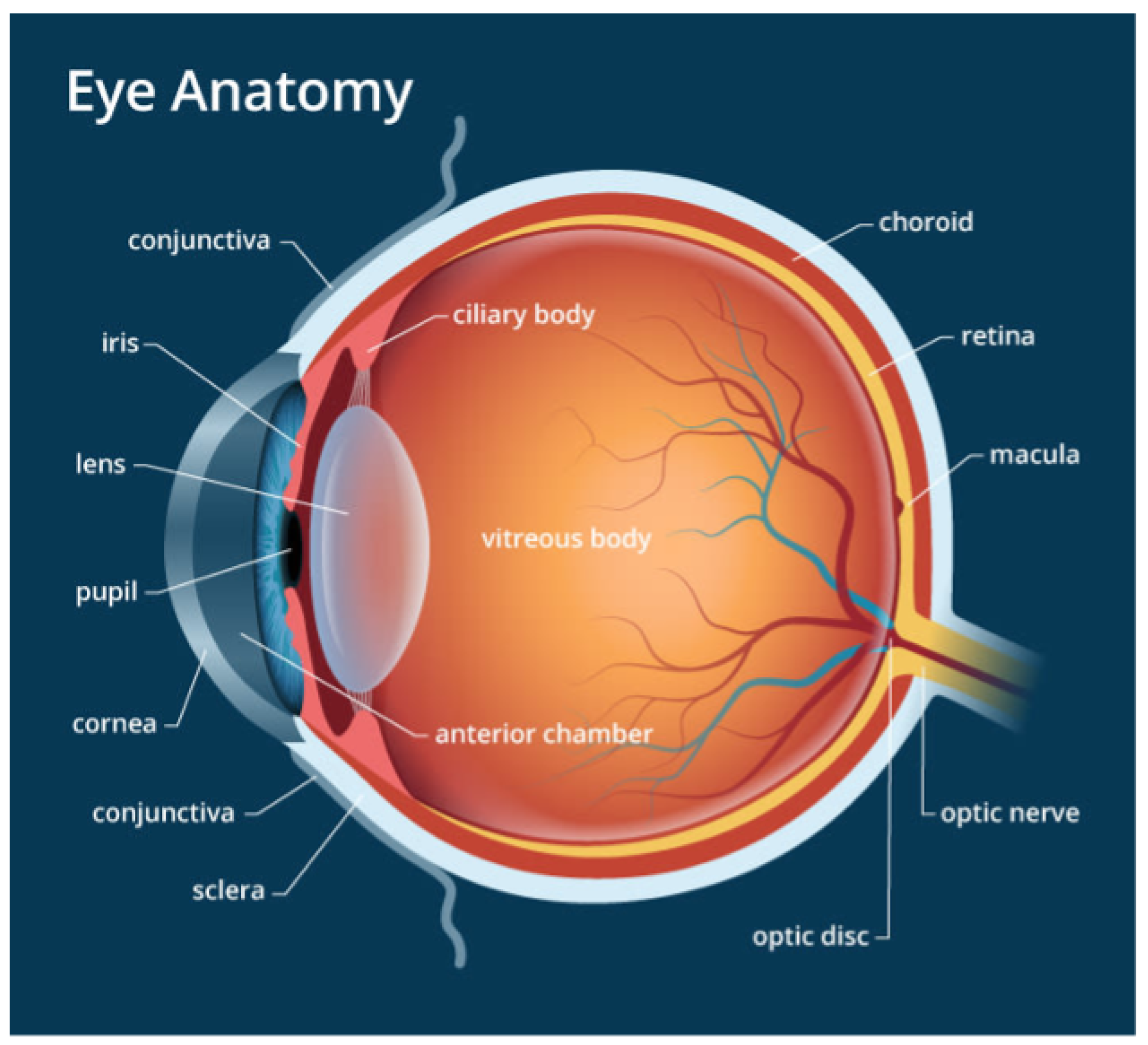 Retina Specialist - Why should I see one? - SK Retina