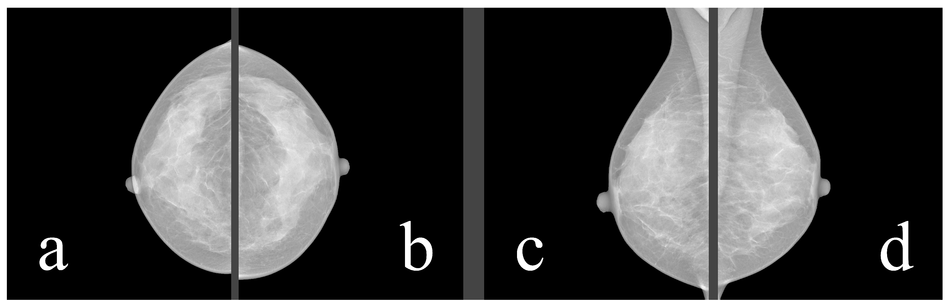 Jimaging 09 00095 g001