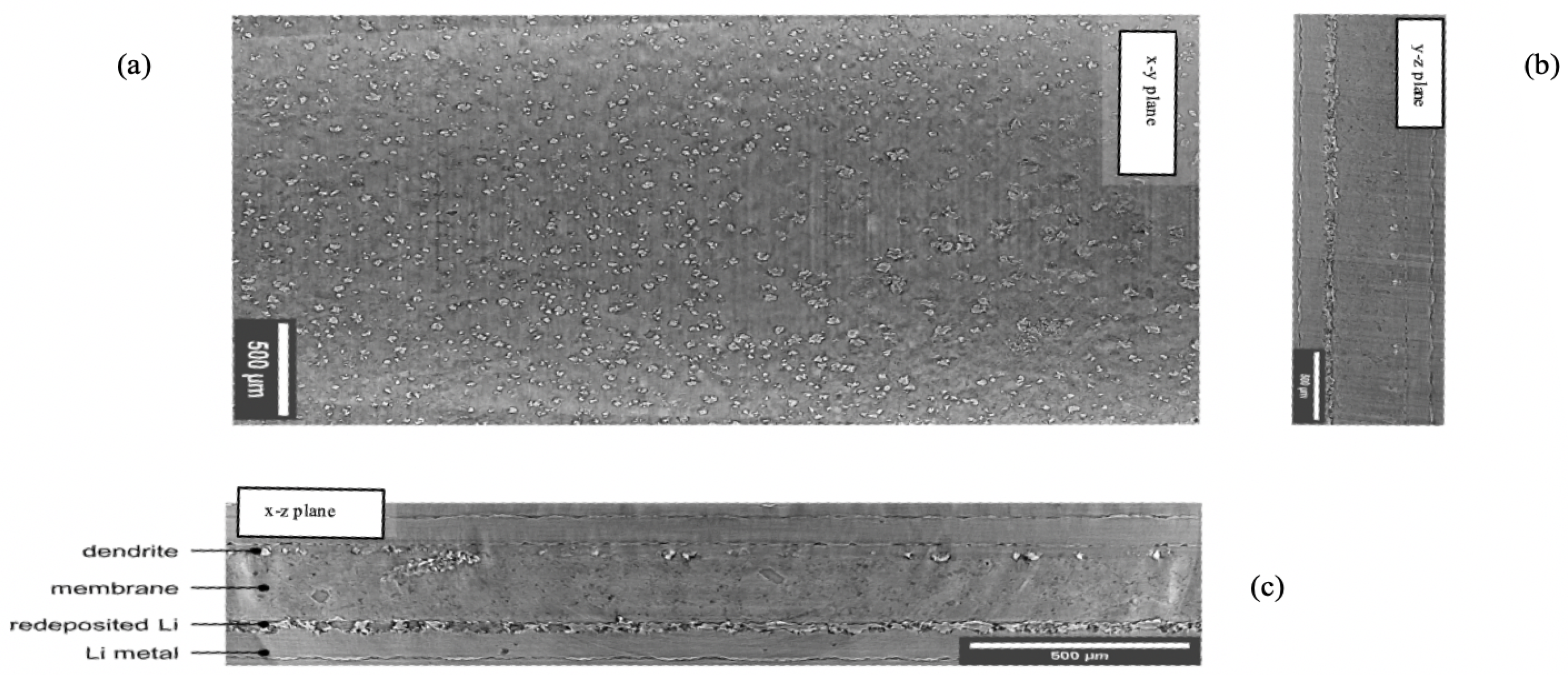 Jimaging 09 00111 g002