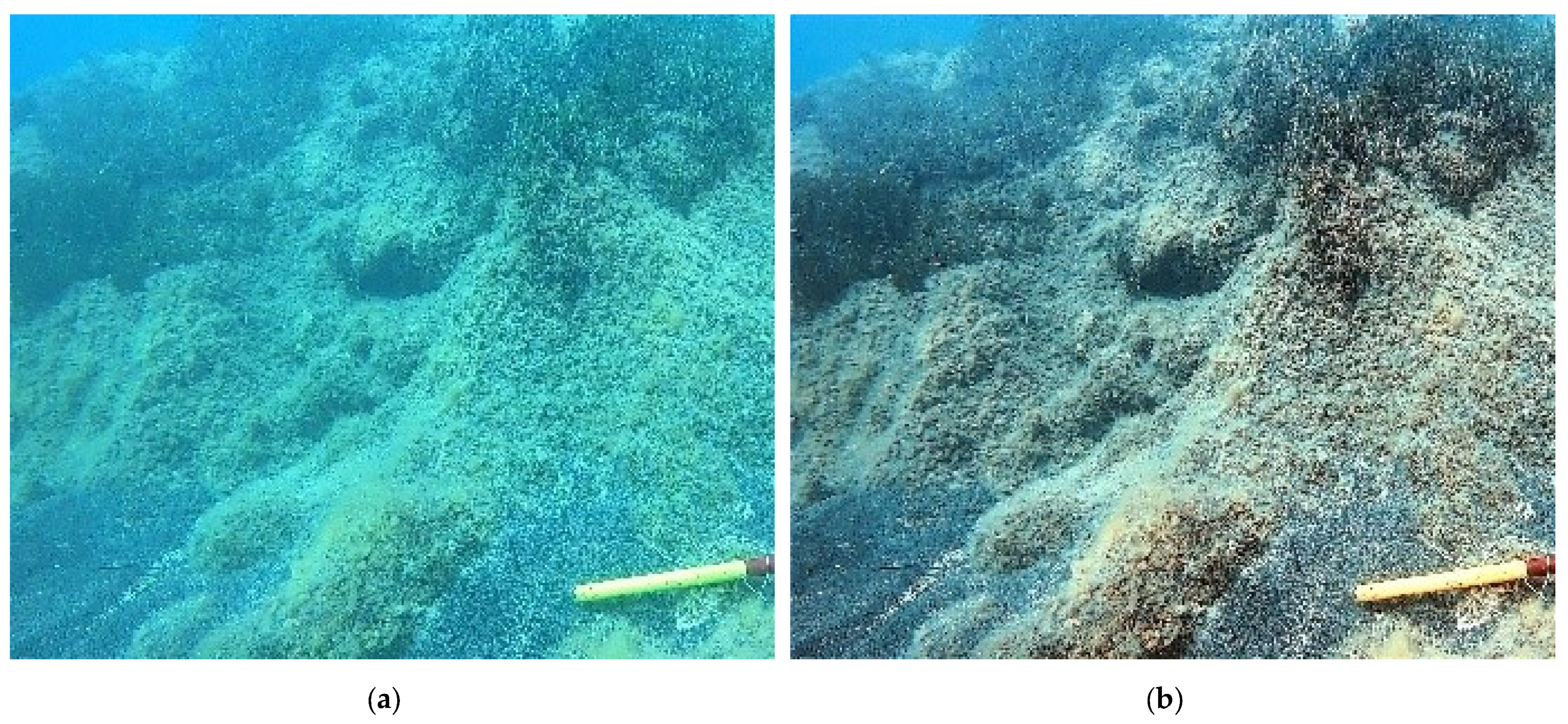 Jimaging 09 00113 g009 Jimaging 09 00113 g009