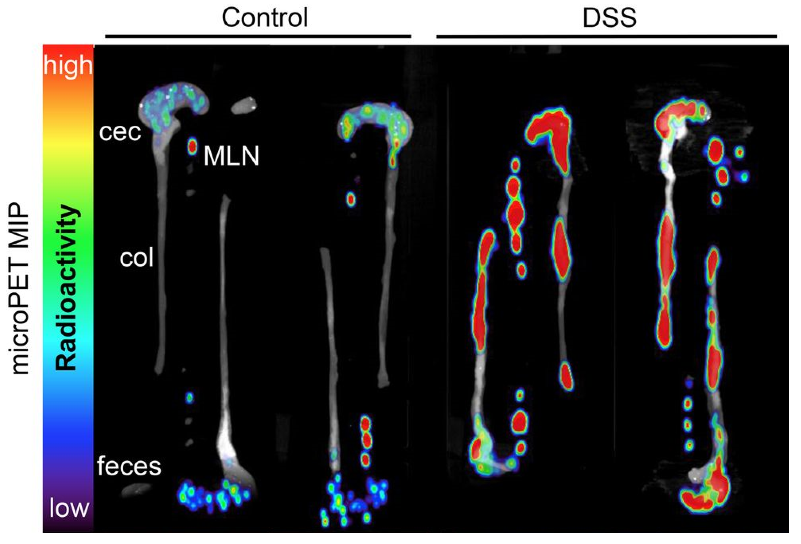 Jimaging 09 00115 g001