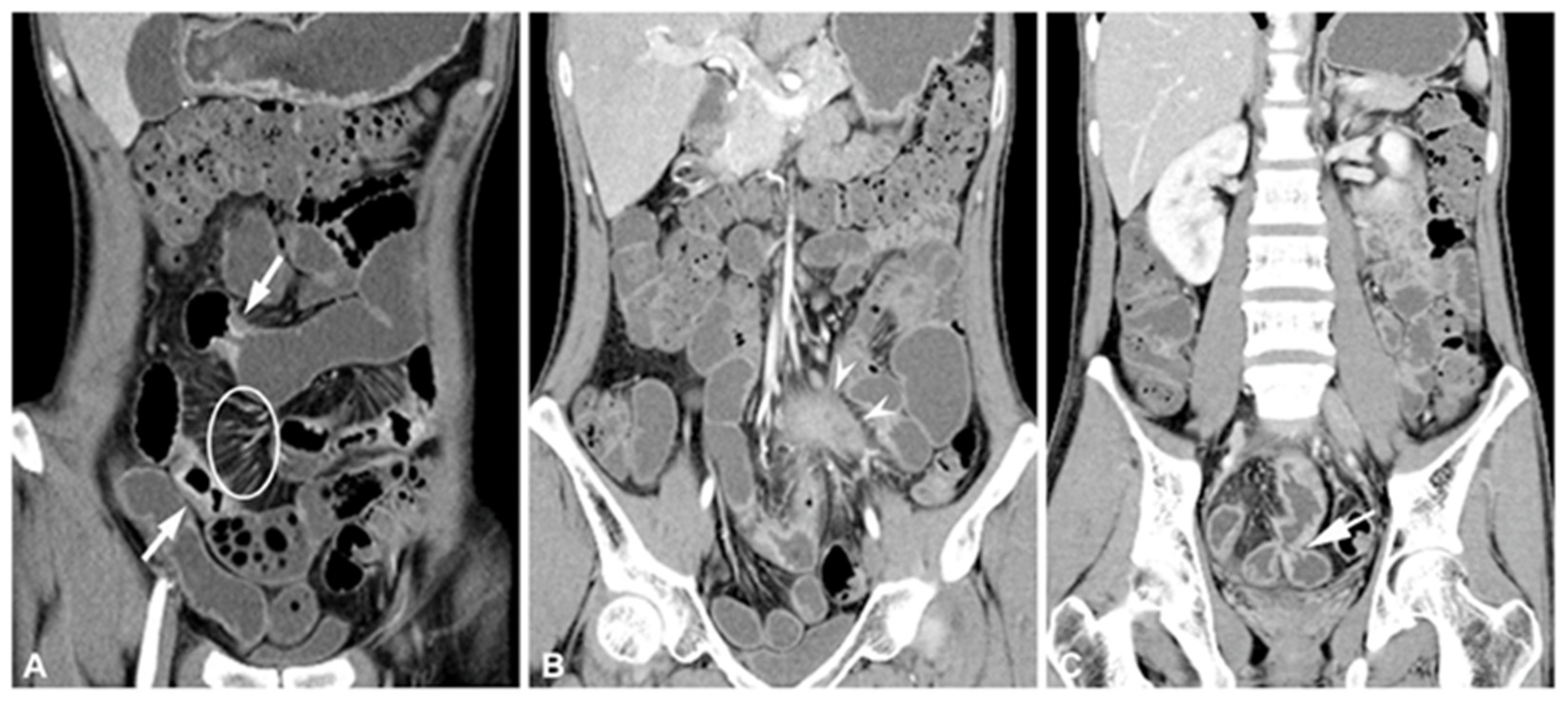 Jimaging 09 00115 g002